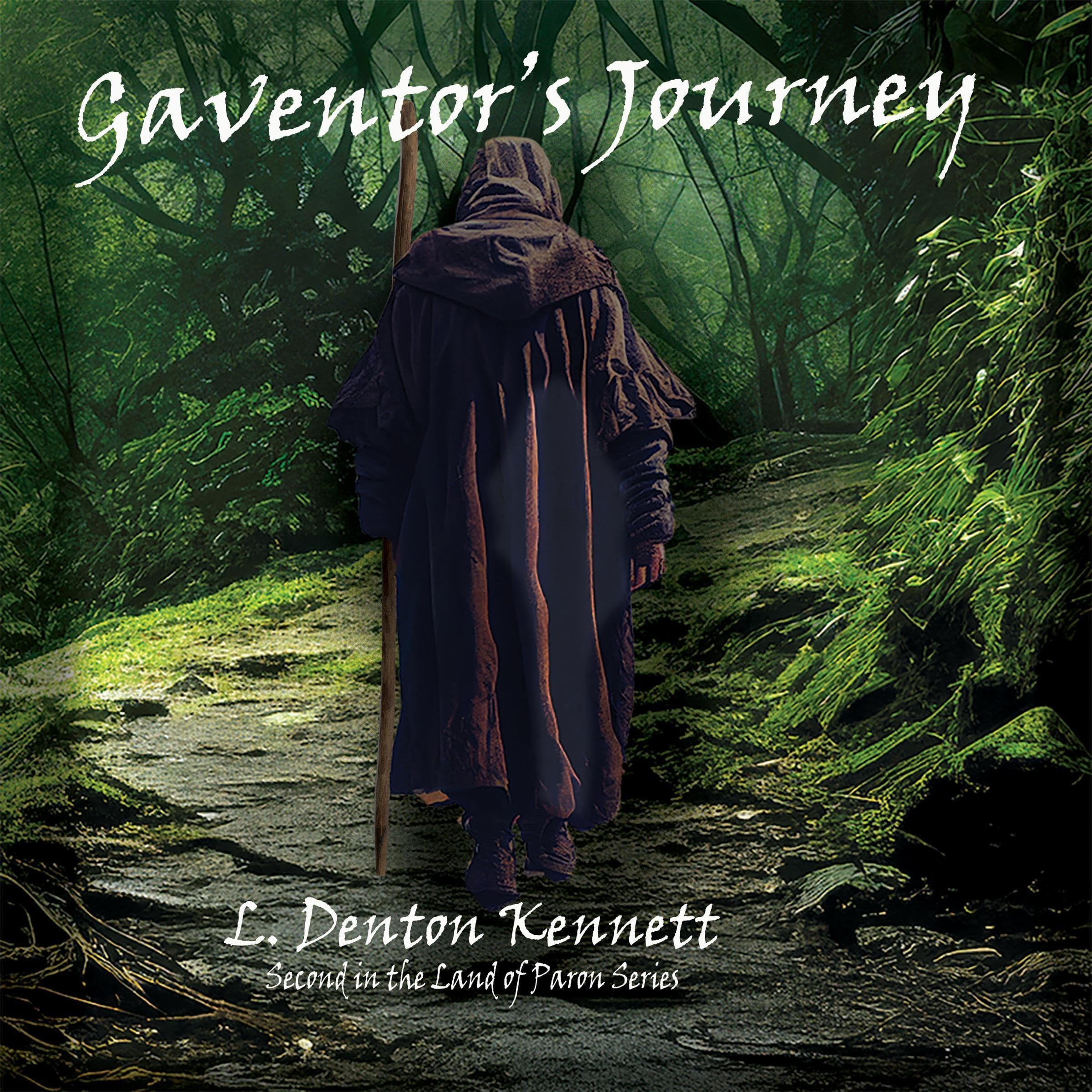 Cover art for Gaventor's Journey