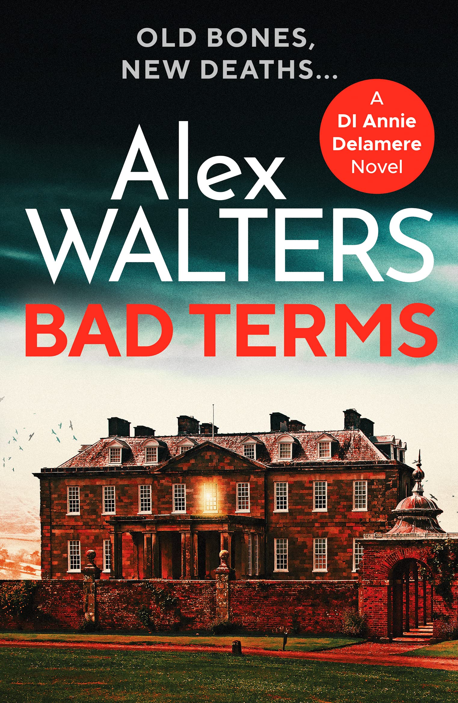 Bad Terms: A page-turning British detective crime thriller: 3 (Detective Annie Delamere, 3)