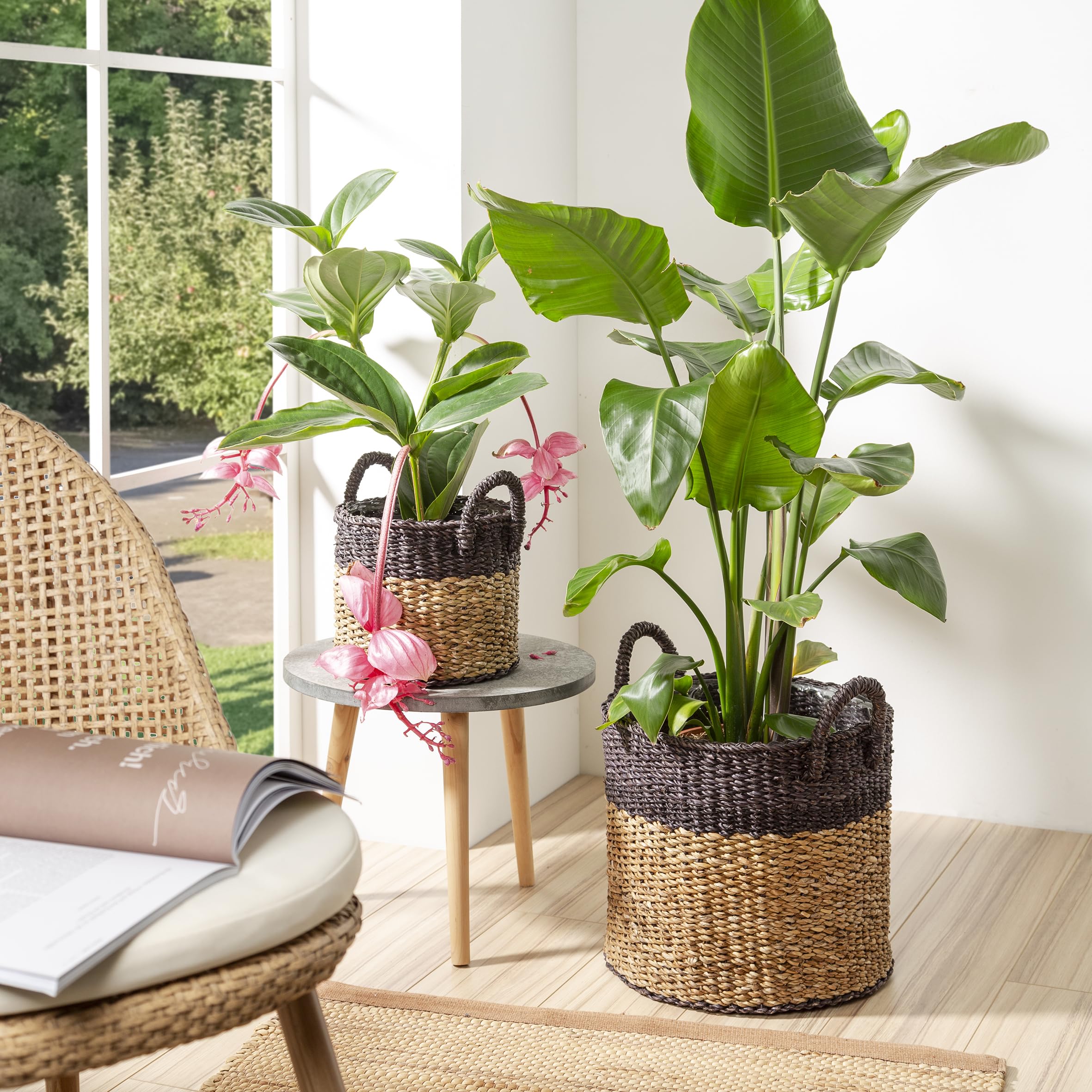 Scheurich Jonc de mer 33 - Panier à plantes avec poignées en jonc de mer - Couleur : marron - Diamètre : 35 cm - Hauteur : 31 cm - Volume : 26,9 l