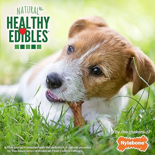 Miniatura 6 de Nylabone Healthy Edibles Broth Bone - Golosinas naturales para perros, hechas con caldo de hueso real, pequeñoregular (4 unidades)