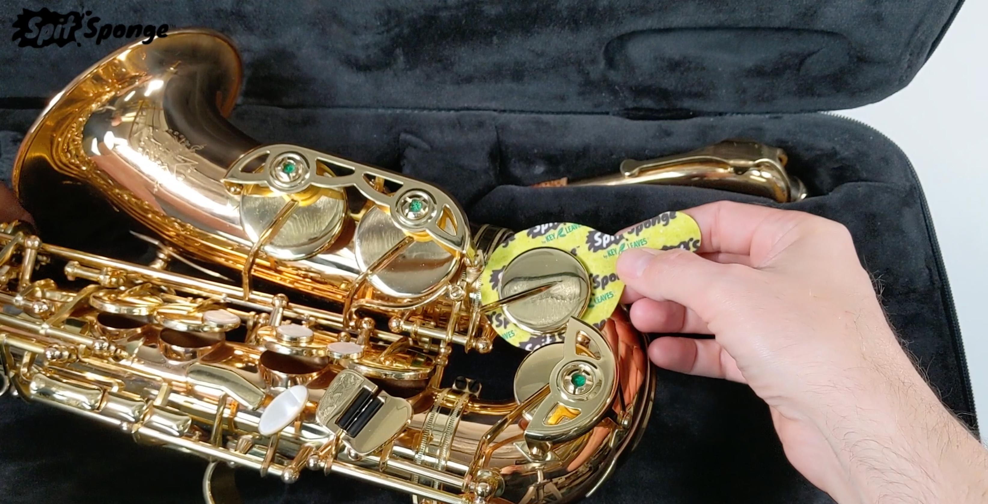 Amazon.com: Spit Sponge Saxophone Pad Dryer (1 piece) Dual-Texture