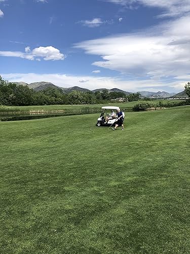 Miniatura 9 de Gimme Grabber - Recuperador de pelotas de golf  Recolección de pelotas de golf de diseño ligero  Agarrador de pelotas de golf perfecto para