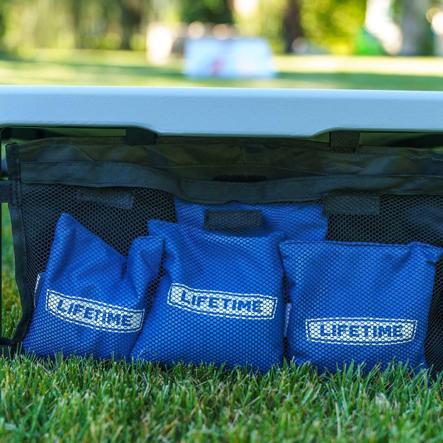 Lifetime Portable Cornhole Toss Game Set with 8 Bean Bags and Storage Pouches Attached to Boards