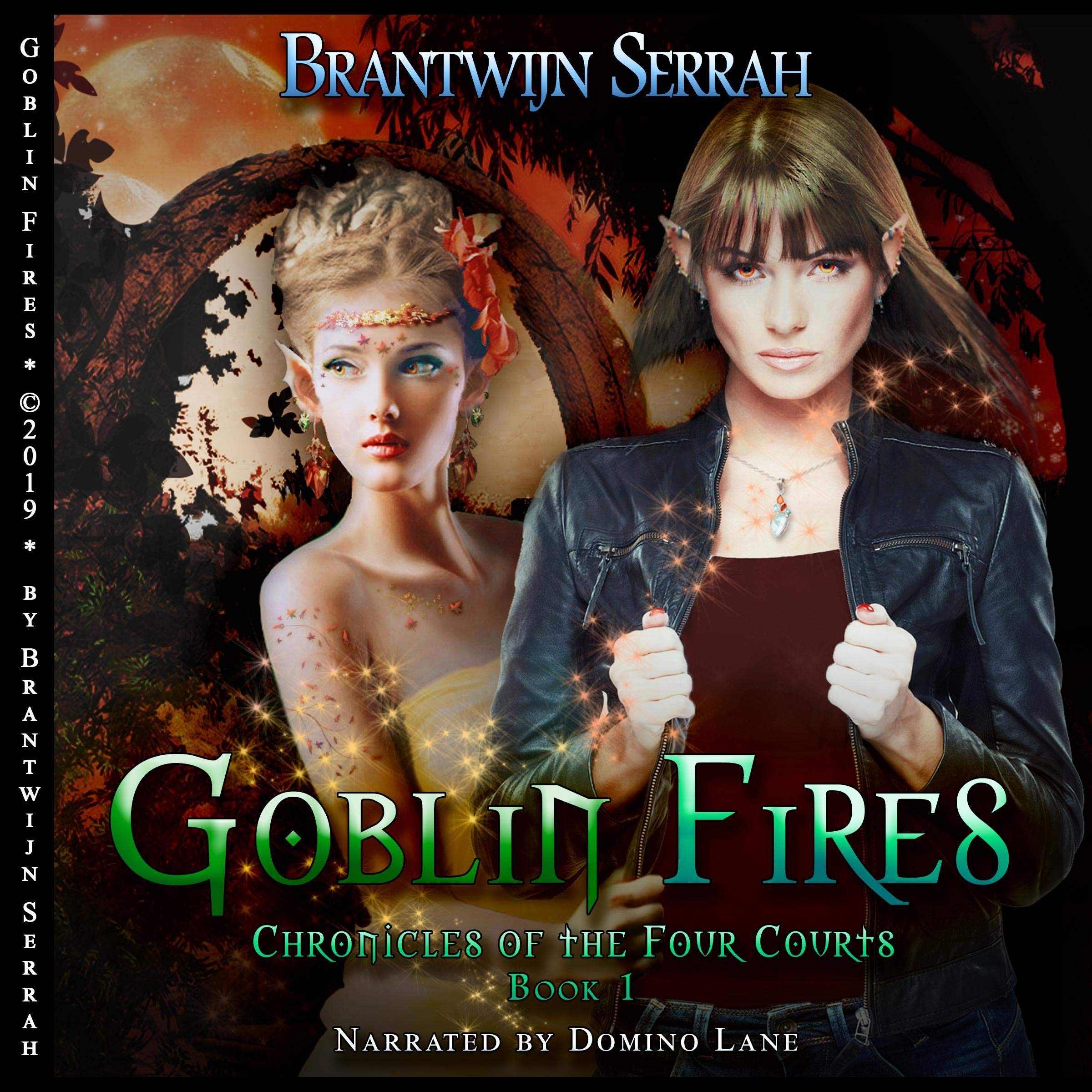 Cover art for Goblin Fires