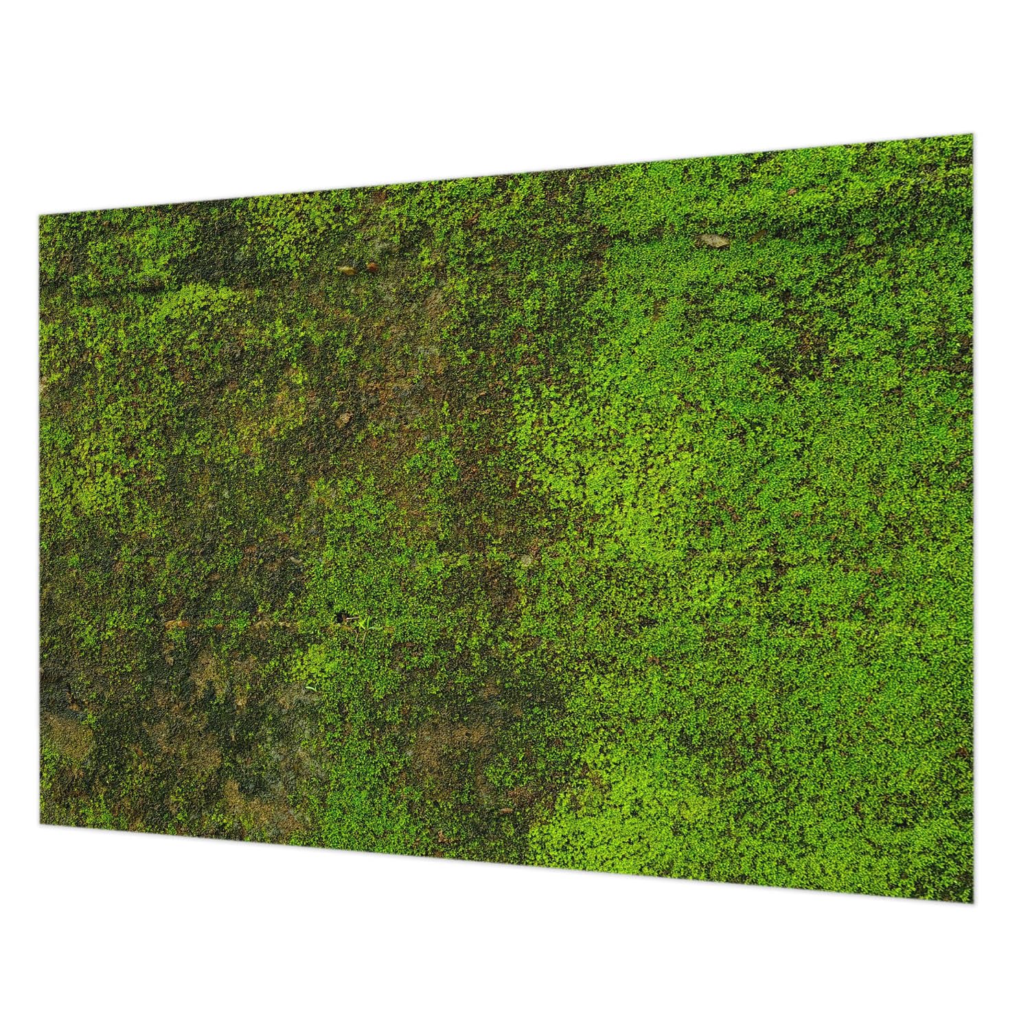 Papier Peint Décoratif Salon Tapis Vert pour une Ambiance Nature