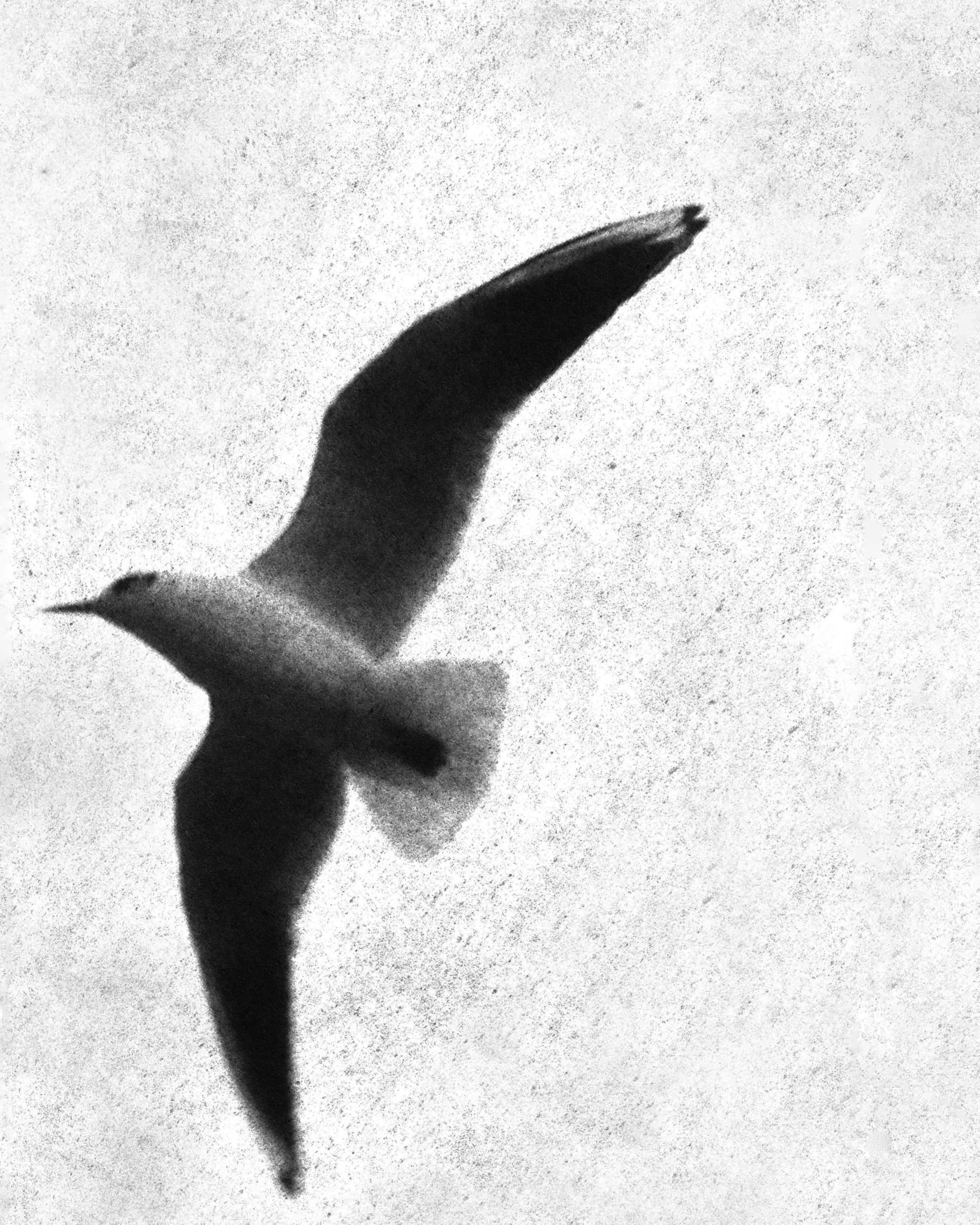 Martin Walde: Luftlinie