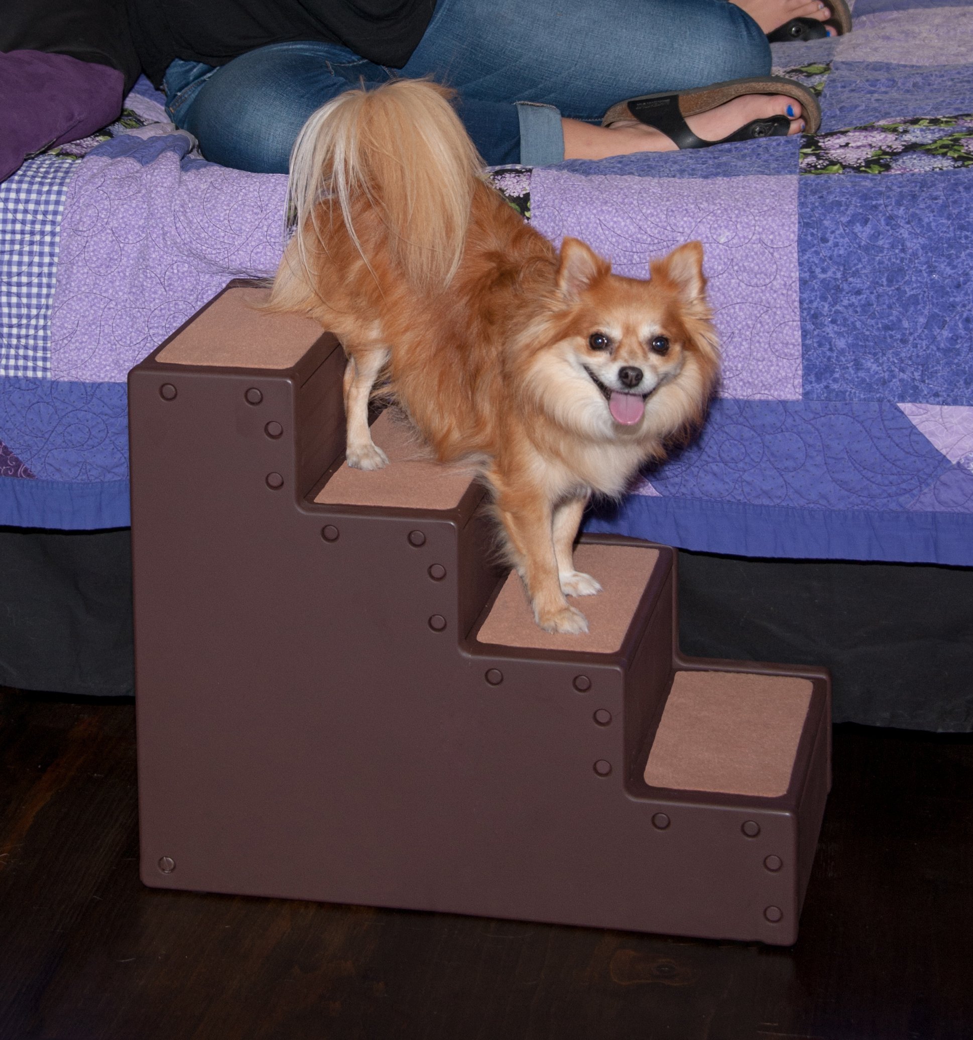 Pet Gear Pet Step IV Pet Stairs for Small Dogs and Cats 