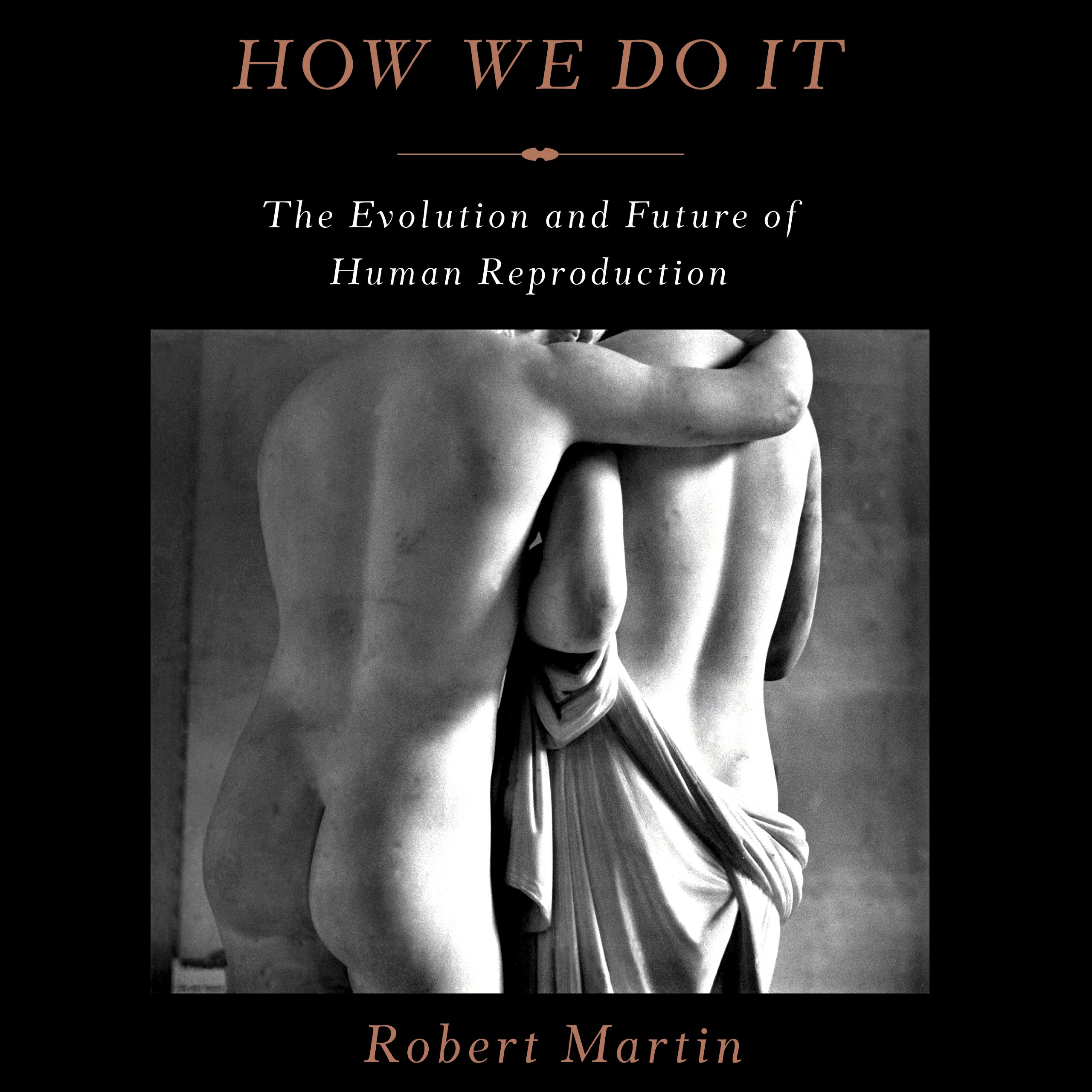 Cover art for How We Do It