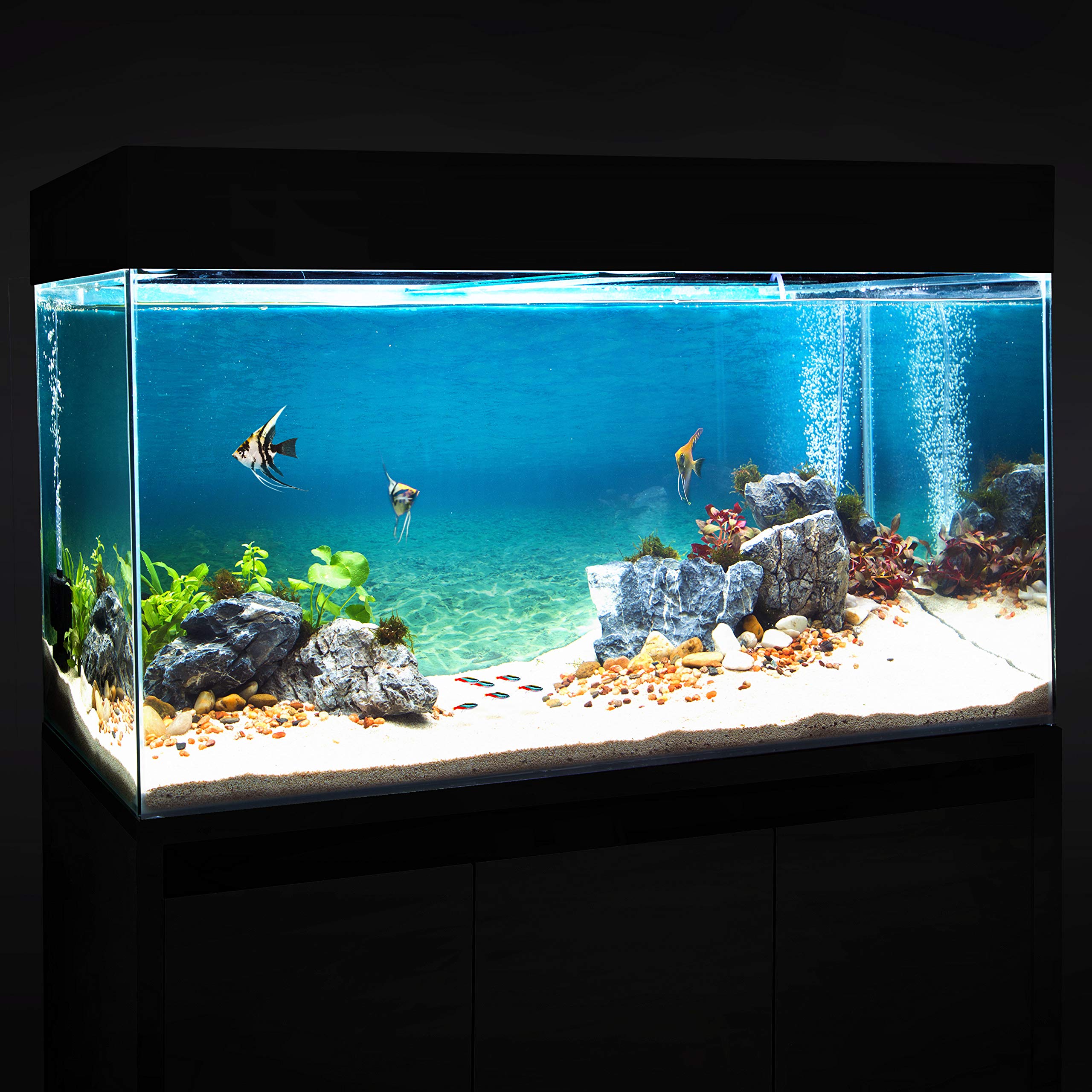 Buy Premium Vinyl Aquarium Background Poster Fish Tank Background