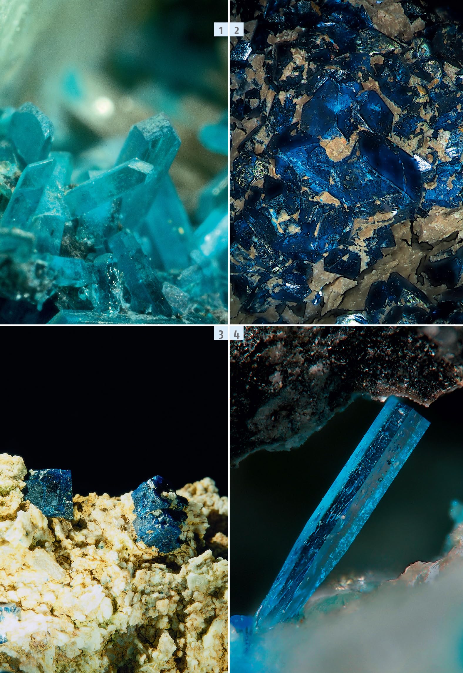 Guida ai minerali. 700 minerali, gemme e rocce