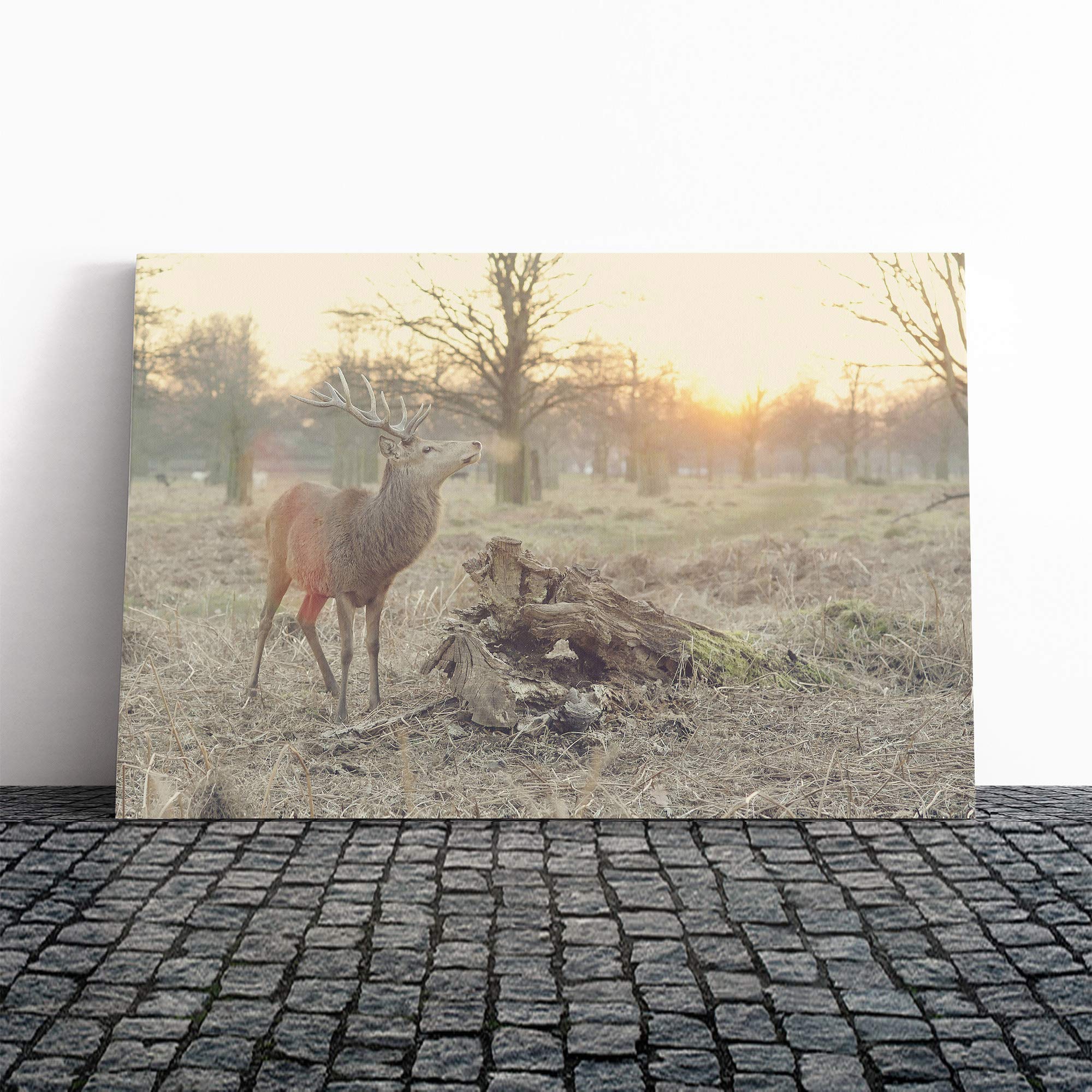 Stag Forest Landscape Canvas Print | Gallery Wrapped 30mm Frame Wall Art | 24x16 inches | Ready to Hang | Modern Animals Picture | Living Room Bedroom Lounge Office
