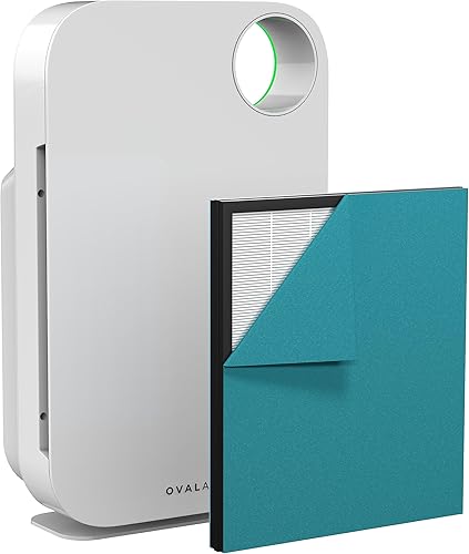 OVAL AIR AIR1000A - Purificador de aire H13 True HEPA 5 en 1 de 3 etapas para alérgenos, polvo, mascotas, alergias, olor, humo, polen, habitaciones