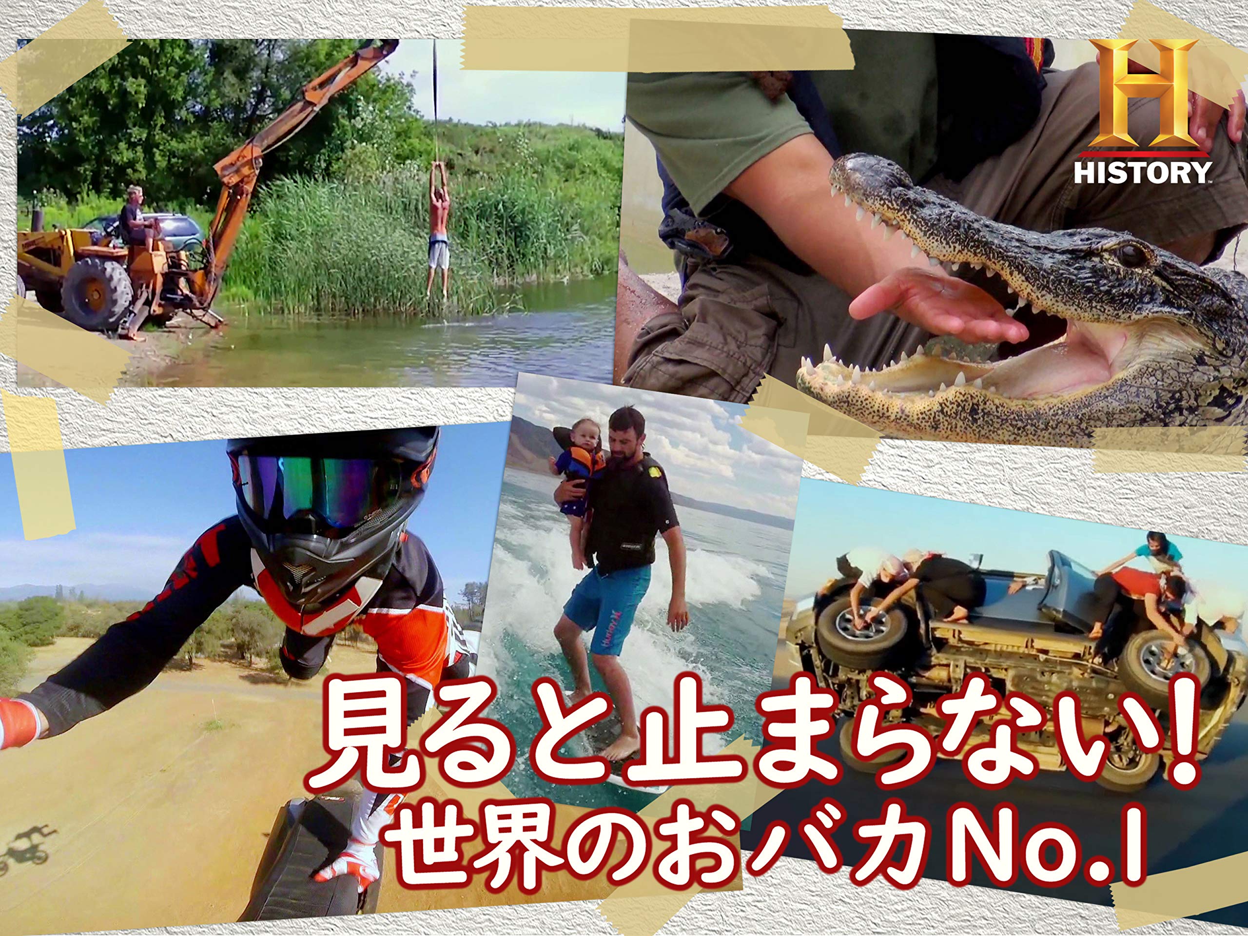 Amazon Co Jp 見ると止まらない 世界のおバカno 1を観る Prime Video