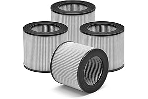 Bissell MyAir Filter Replacement 2801: Guardian for Your Indoor Air