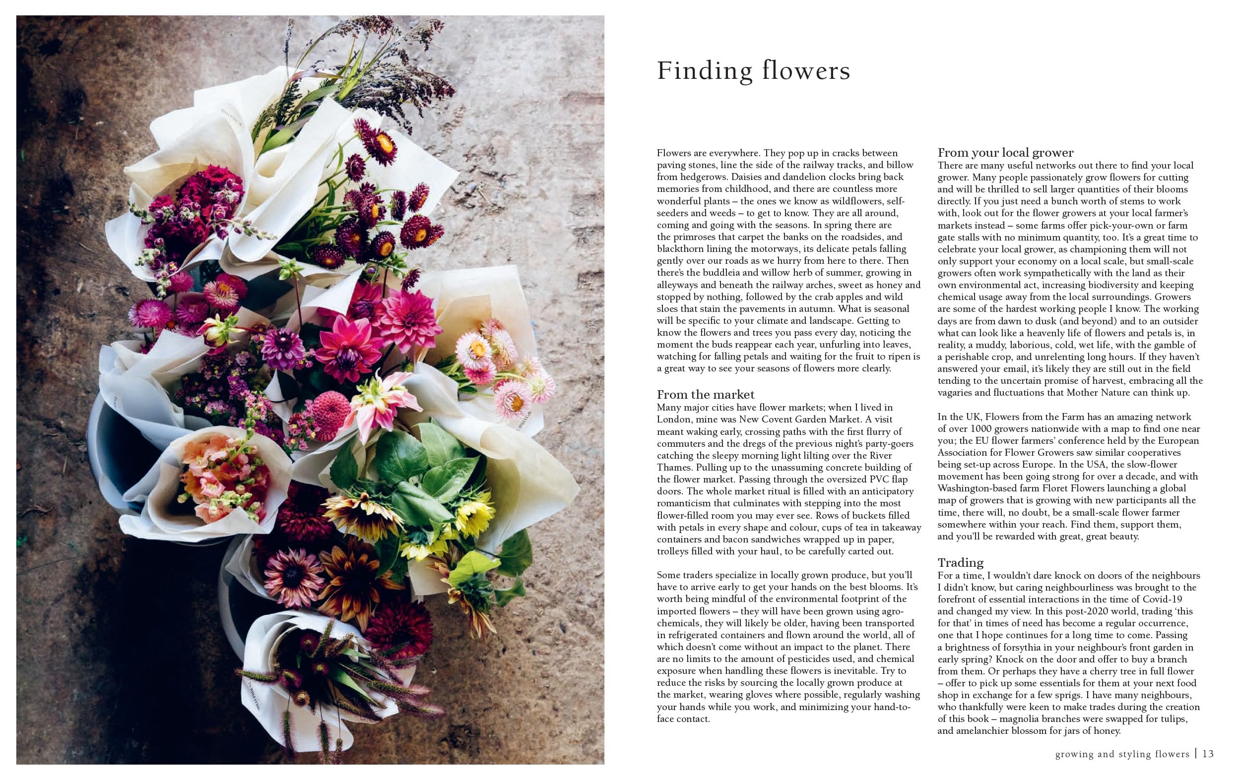 From Seed to Bloom: A Year of Growing and Designing With Seasonal Flowers