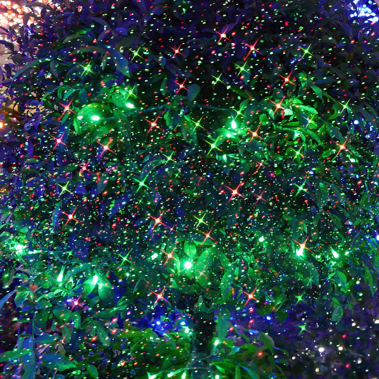 A close-up image of green and red starry lights projected onto dense green foliage, creating a festive, firefly-like effect.