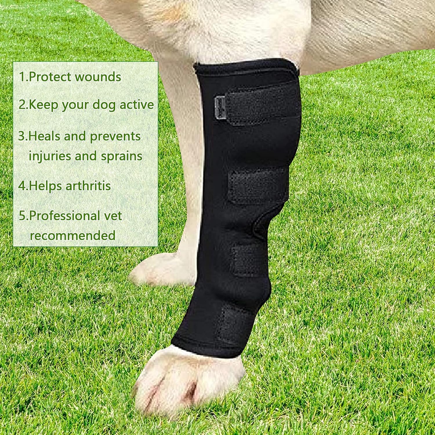 2 Pack Dog Front Leg Brace, Pet Knee Pad Dog Elbow Protector Ankle