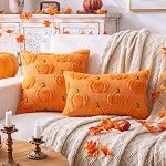 Pompe d'automne Couvertures d'oreillers à jet orange 18x18, Ensemble de 2 Décorations d'Action de grâces d ́Halloween Oreillers à l ́automne intérieur pour les fêtes de canapé Couch