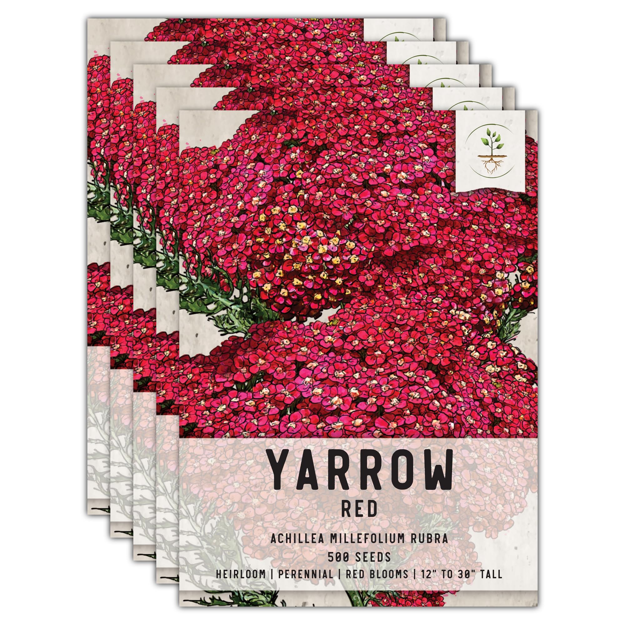 Seed Needs Red Yarrow Seeds