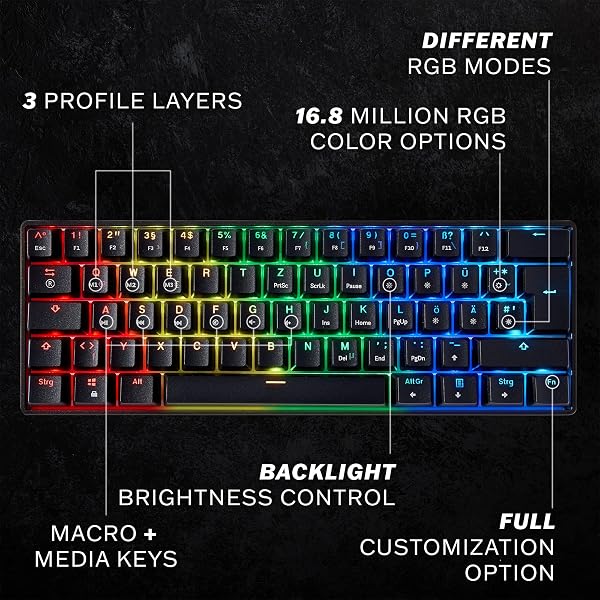 HK Gaming GK61 mechanische 60 Prozent Tastatur | 61 programmierbare Tasten mit RGB Beleuchtung | Kompatibel mit Windows PC & Mac | QWERTY Layout | Hotswap Gateron Optical Blue Switches | Schwarz - 2