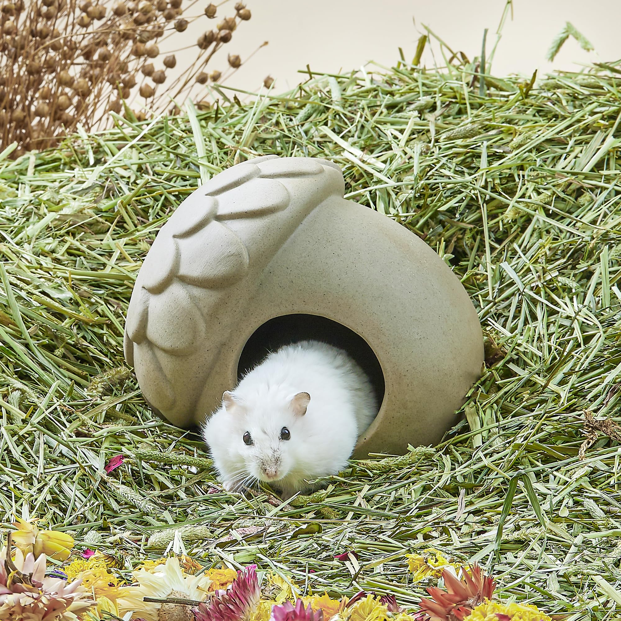 BUCATSTATE Hideaway Hideout - Hideaway Casa Hábitat Decoración para hámster sirio enano, ratones, ratones gerbils u otros animales pequeños similares (forma de bellota)