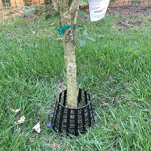 Miniatura 9 de Protector de plástico para prevención de animales de árboles y plantas para césped, jardín, flores, verduras, arbustos y plantones, paquete de 3