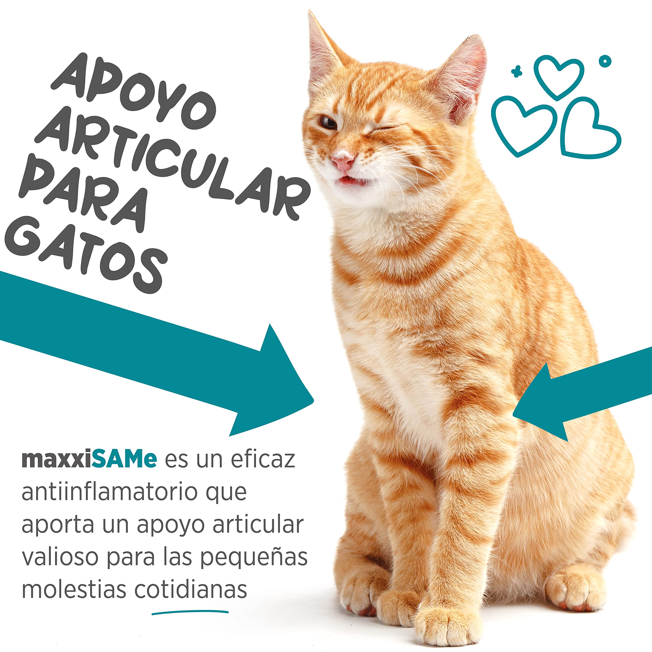 maxxipaws maxxiSAMe Suplemento en Polvo Avanzado de Sam-e – Apoyo para el Hígado, la Cognición y Las Articulaciones para Gatos, 90g