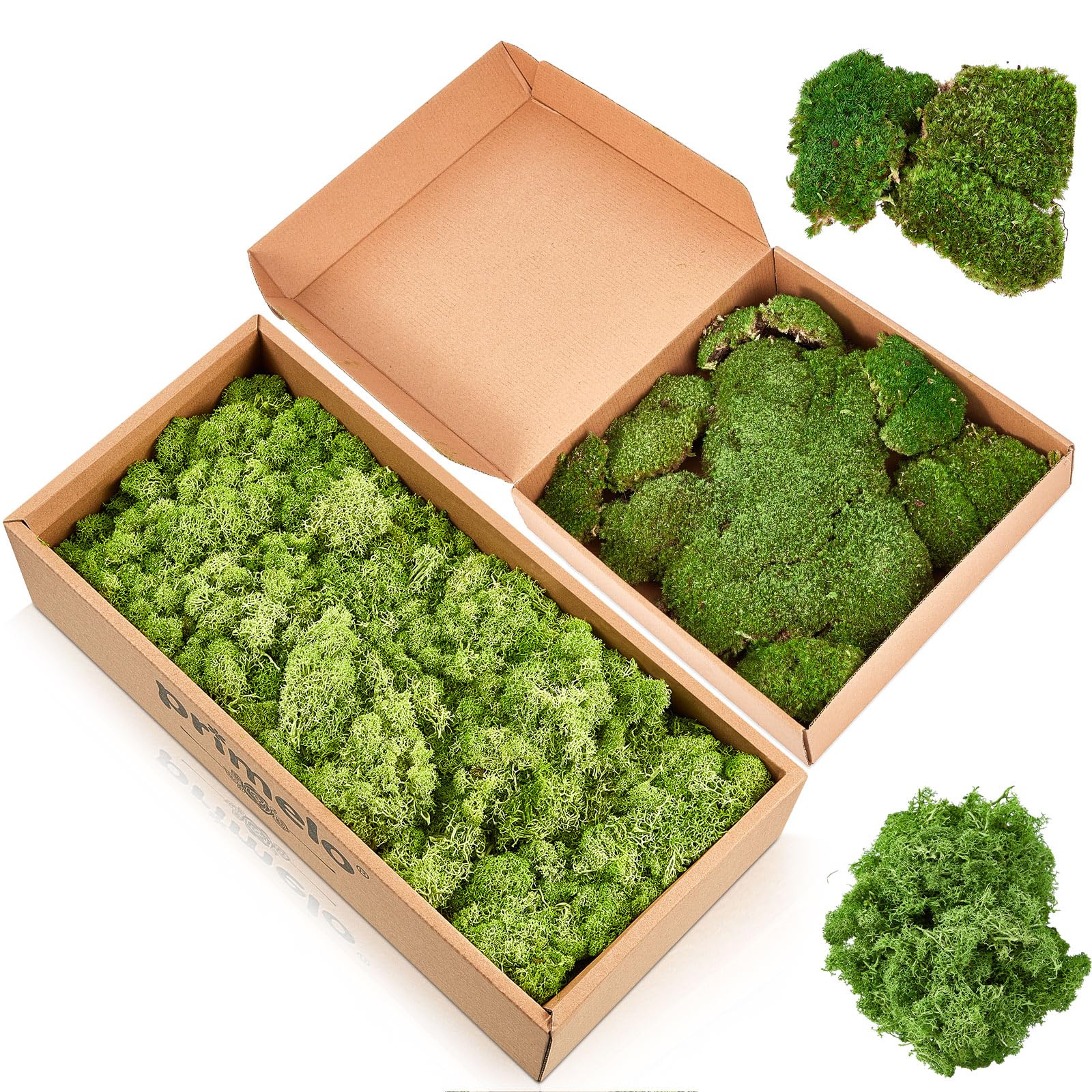 Amazon | Fabbay 18オンス トナカイコケ 工芸用 0.97平方フィート 人工