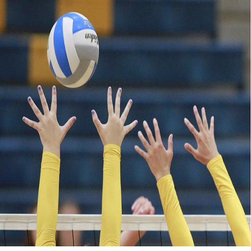 volleyball info and video App on Amazon Appstore