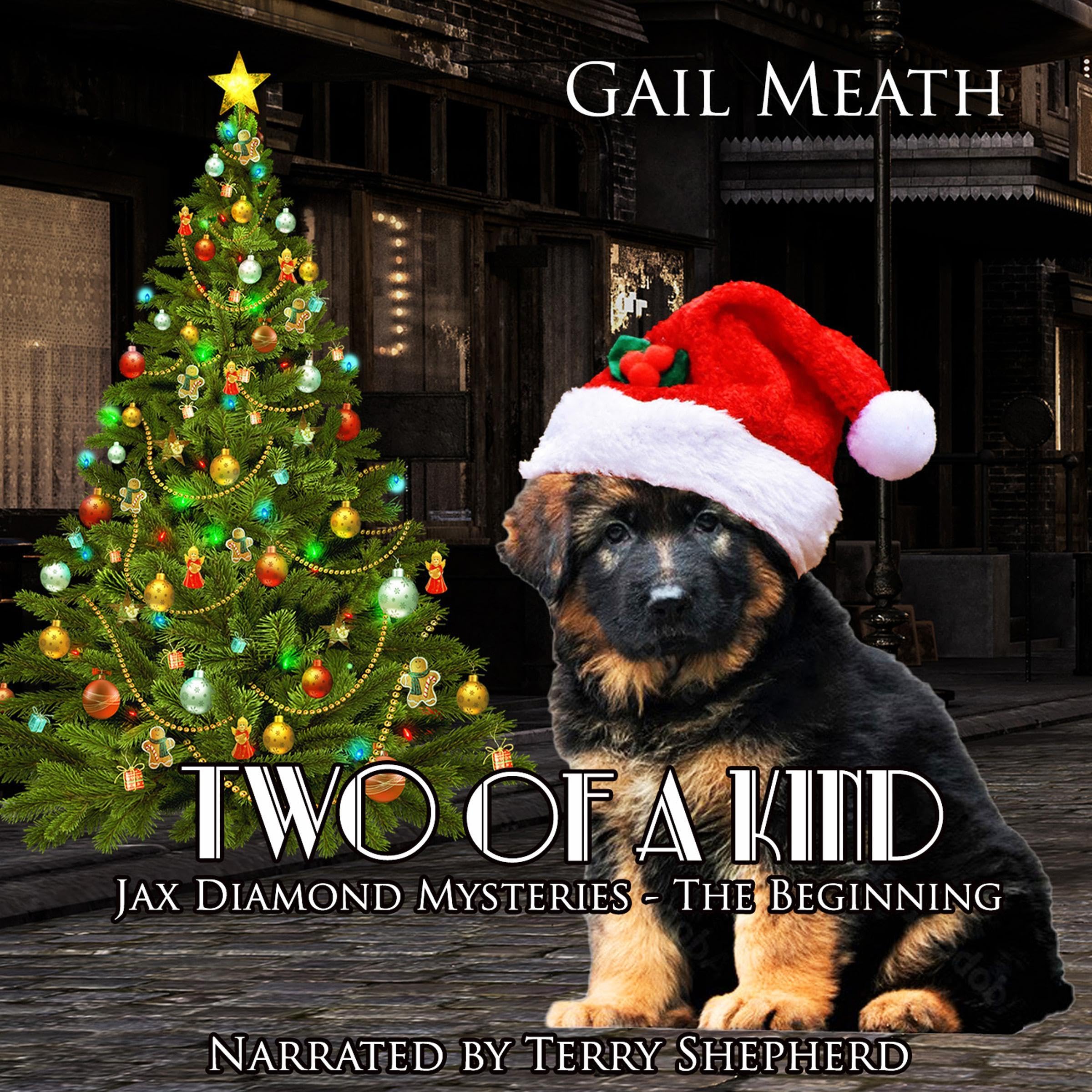 Two of a Kind: The Beginning