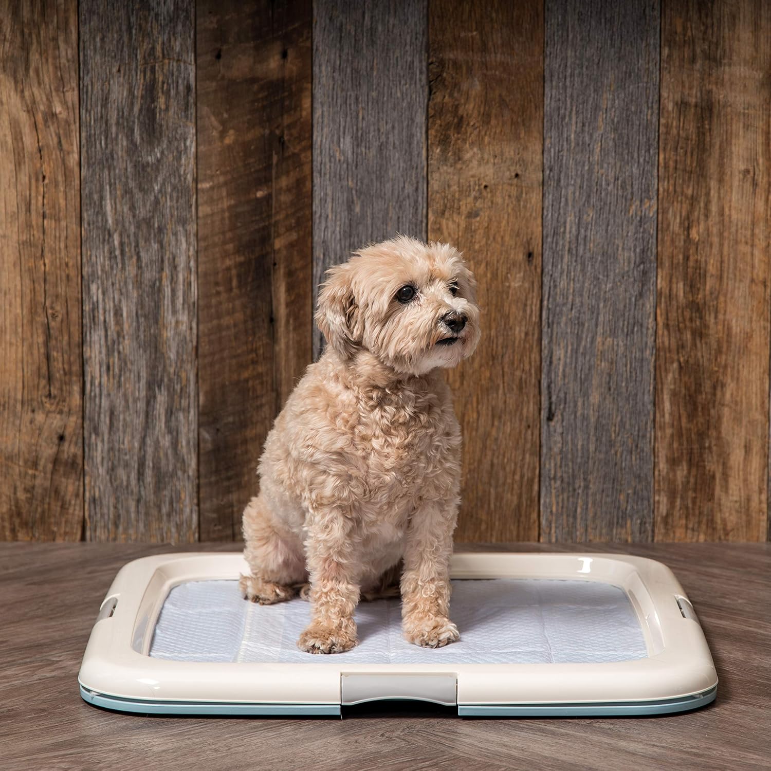 Blue Plastic Pet Training Pad Holder with Non-Skid Feet