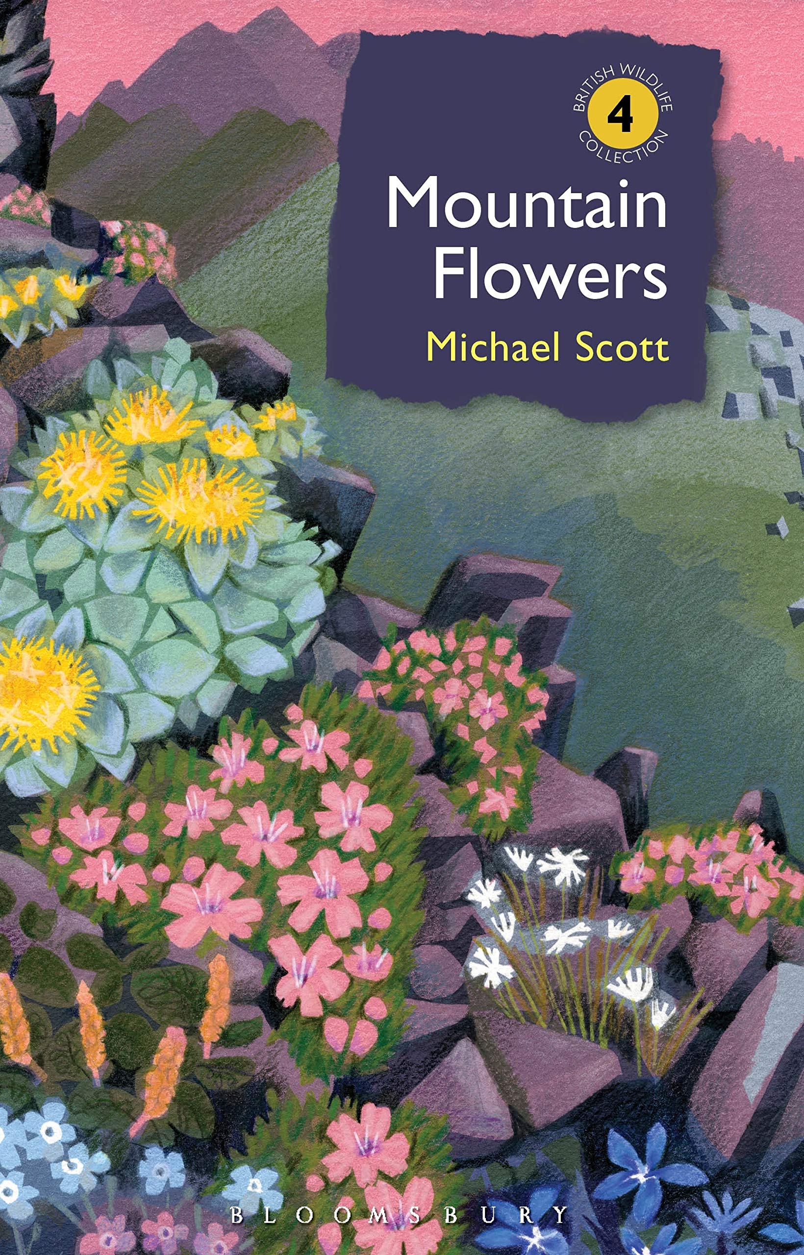 Mountain Flowers by Michael  Scott (Hardback Book)