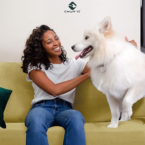 Vista 365 de CHUN YI - Funda elástica para sofá (1 unidad)