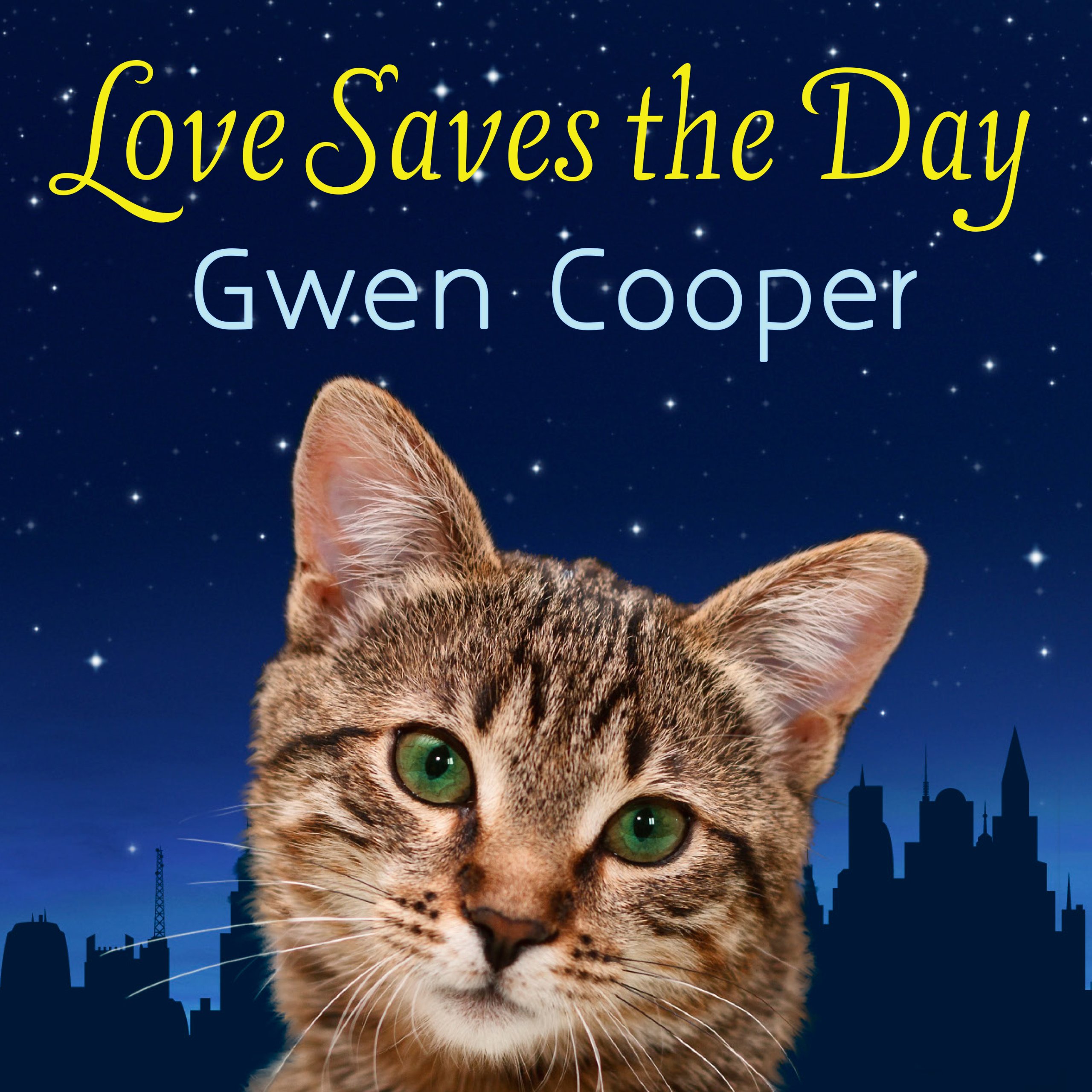 Cover art for Love Saves the Day