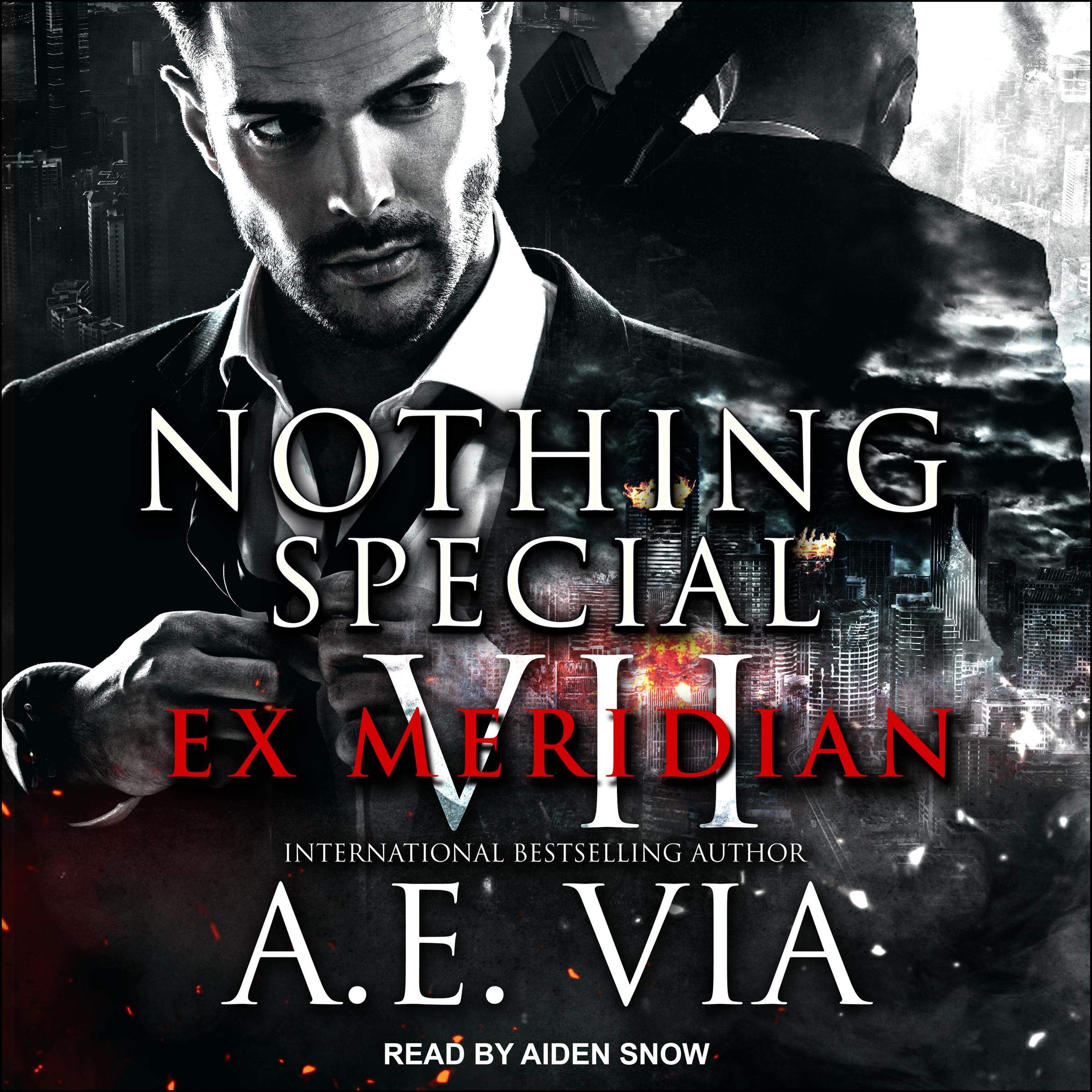 Cover art for Nothing Special VII