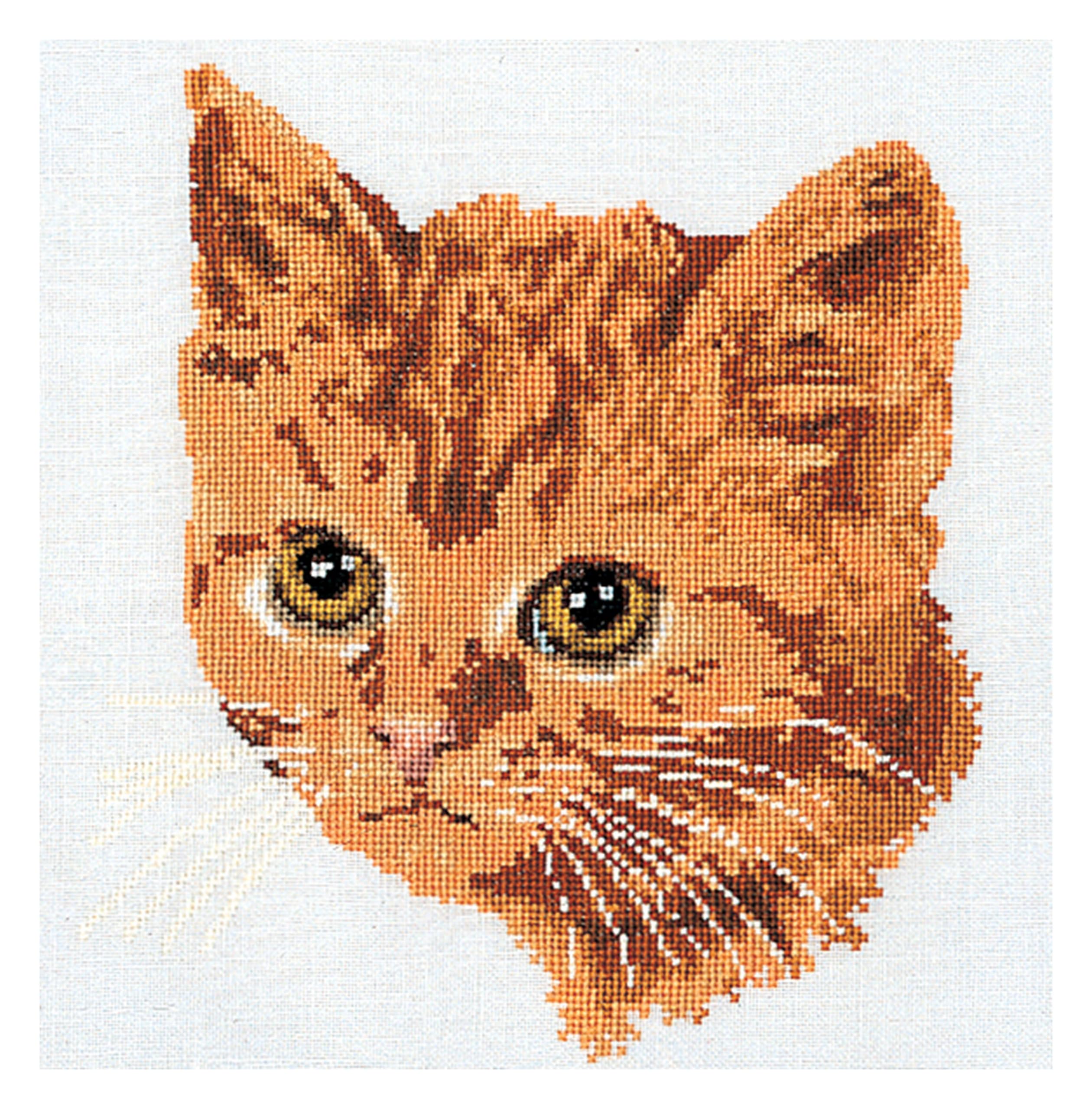 Thea Gouverneur Kreuzstich-Set ‚Rote Katze‘ – Leinen 24 Count, 30 X 40 Cm, Inkl. Garn & Nadel