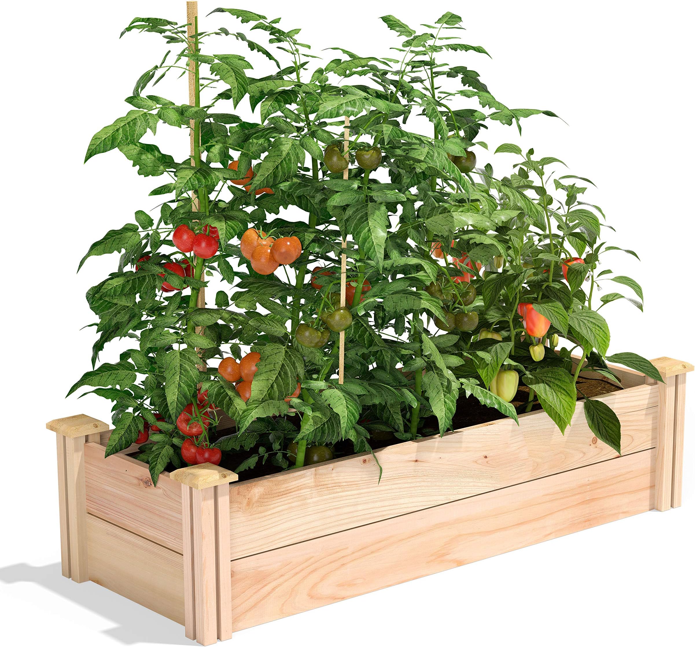 UShaped Cedar Raised Garden Bed 6 ft x 6 ft Made in USA