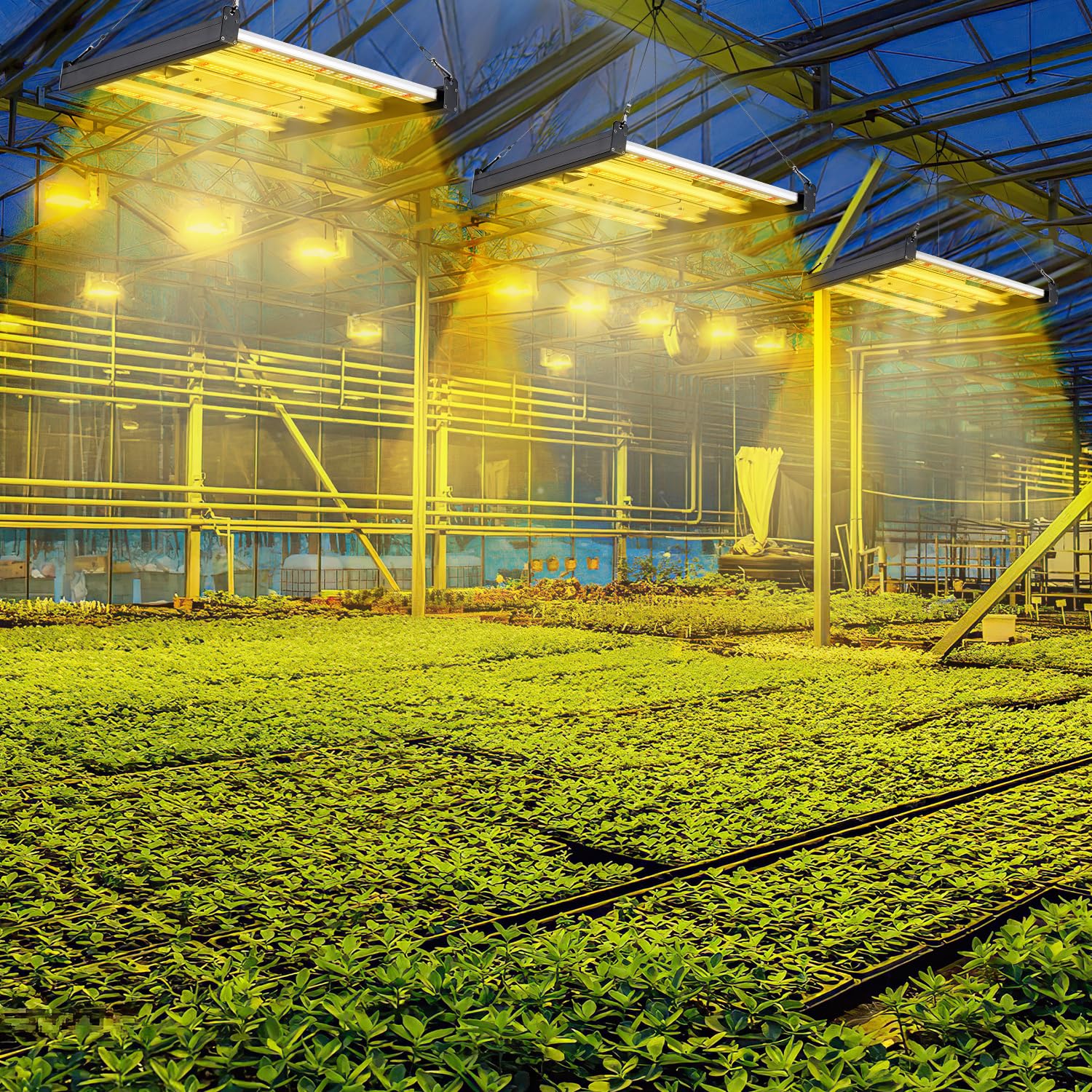 Lámpara LED para plantas, 150 W, luz de crecimiento de espectro completo, regulable, lámpara de crecimiento para verduras, flores, plantas de interior, hidroponía, tienda de cultivo, 4