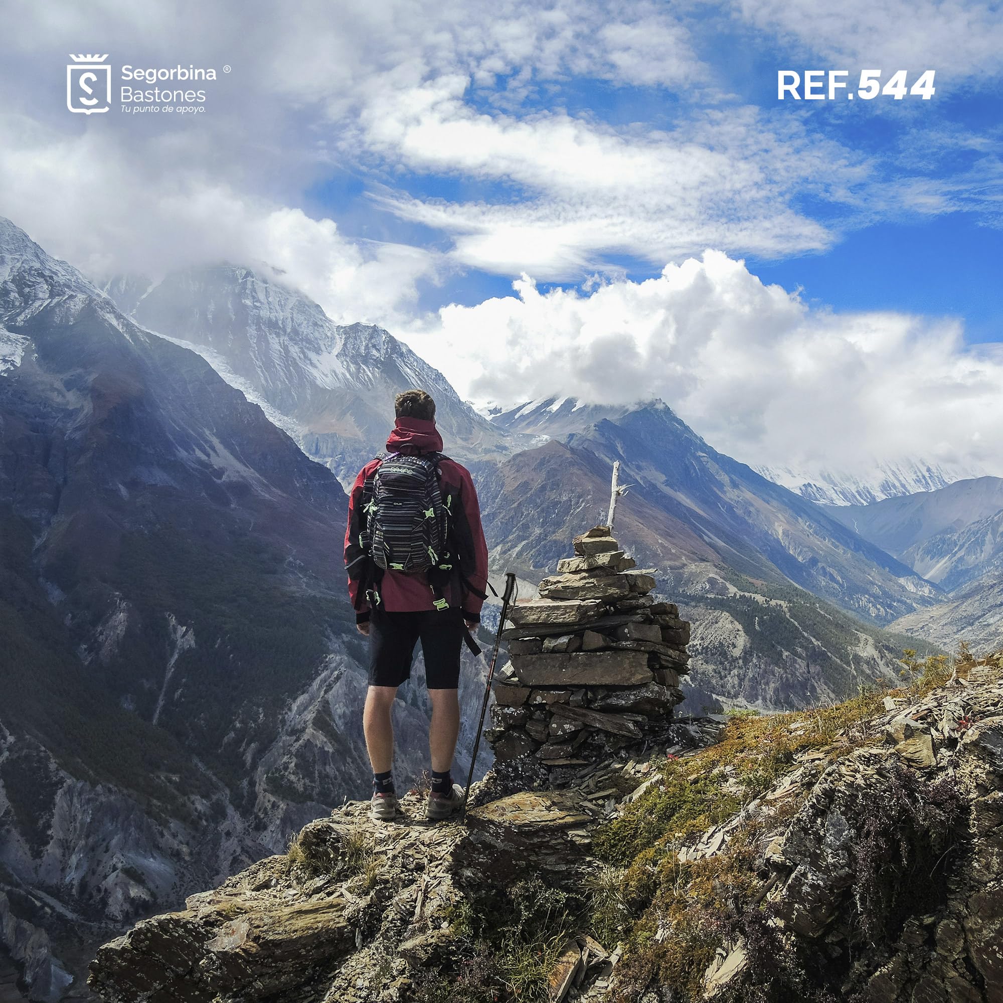 Bastone da trekking estensibile in alluminio, colore nero (544)
