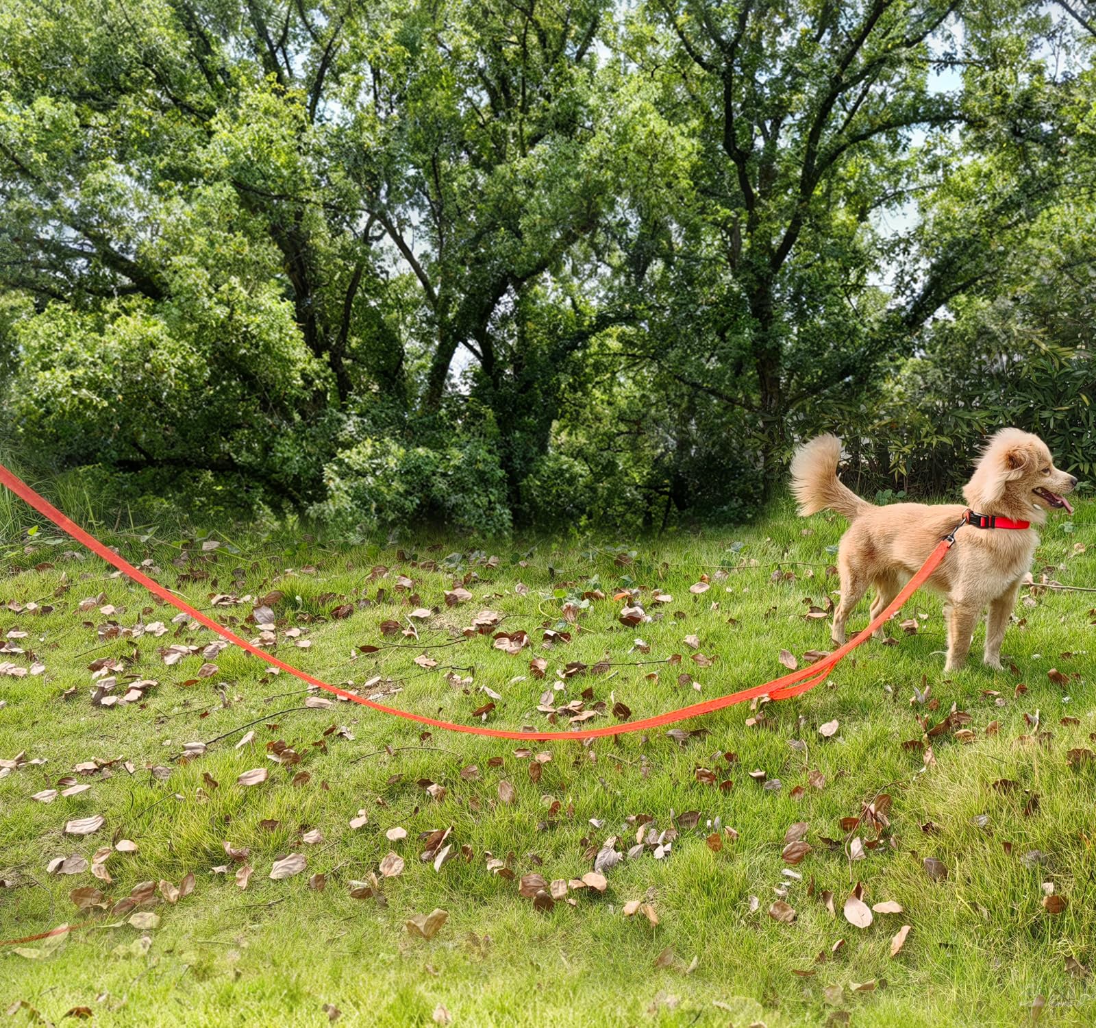 Correa de tráfico de 10 pies con 2 asas para perros, Correas para Perros, reflectante, fácil de controlar, andar, correa de nailon de dos asas para perros grandes y medianos y extractores