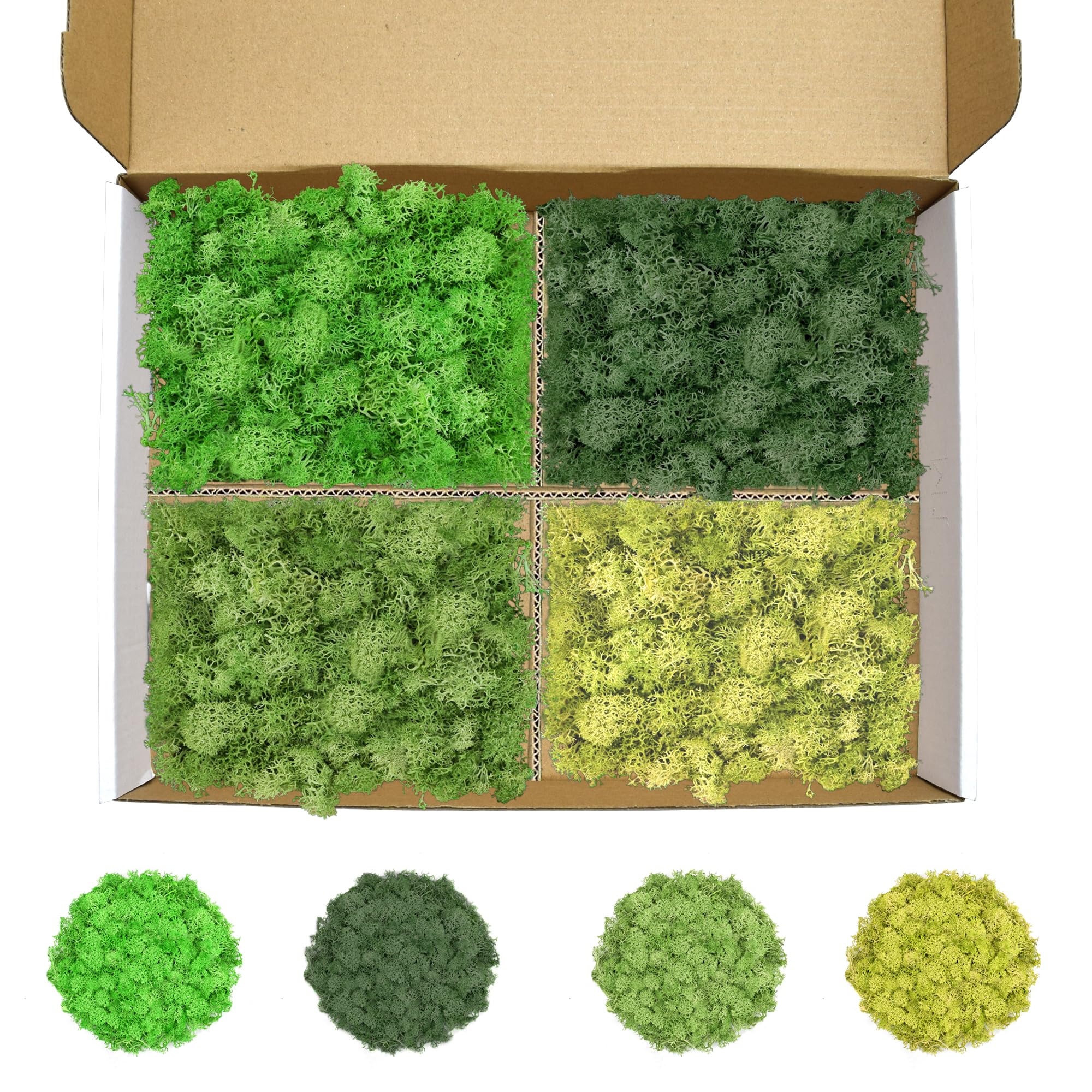 Preserved Reindeer Moss, 14 oz 4 Colors Moss for Crafts