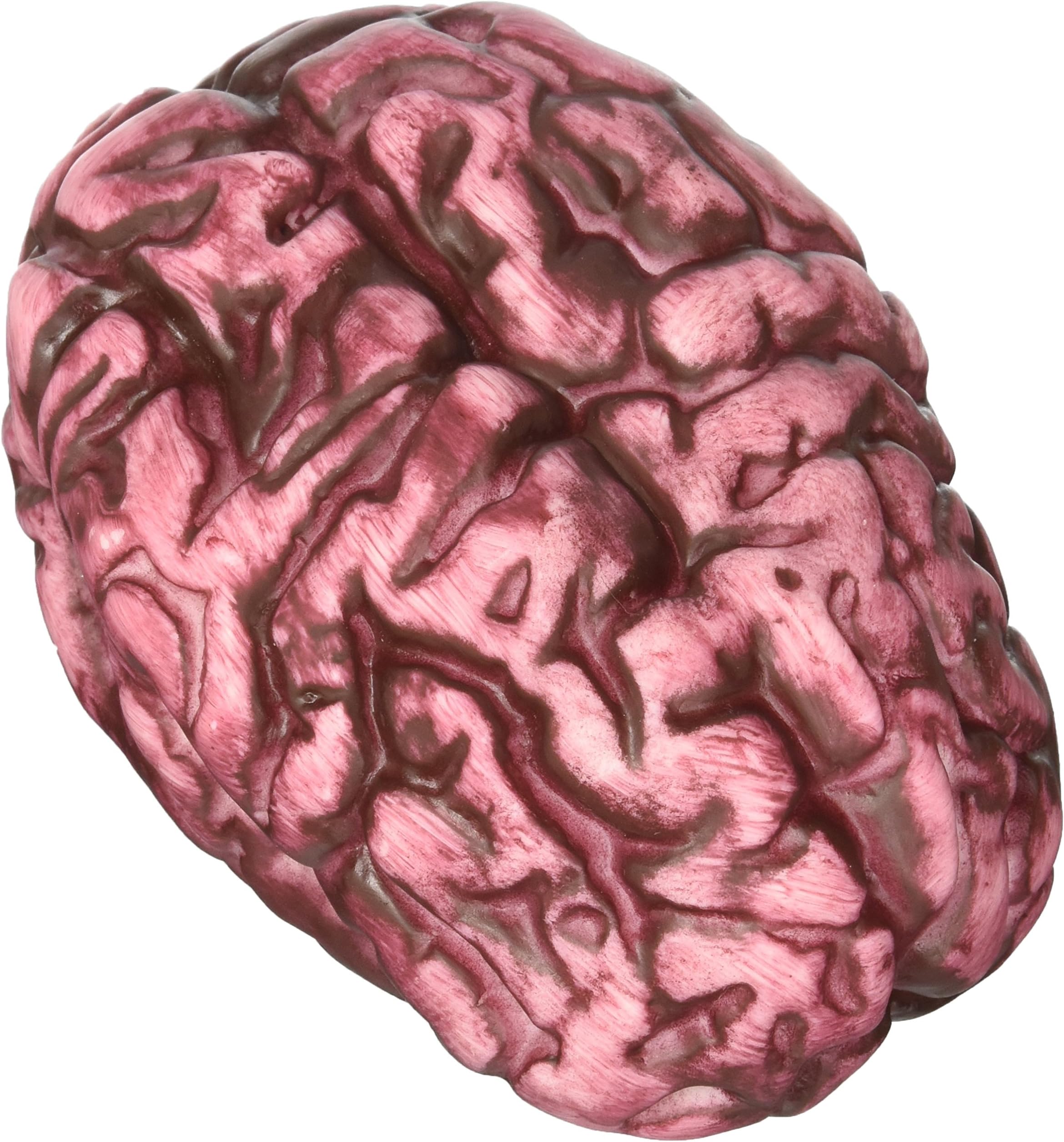 Fake Human Bloody Brain