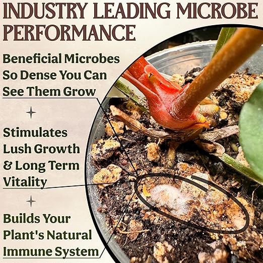 Fertilizante Orgánico para Plantas de Interior, Exterior, 1 lb miniatura 7