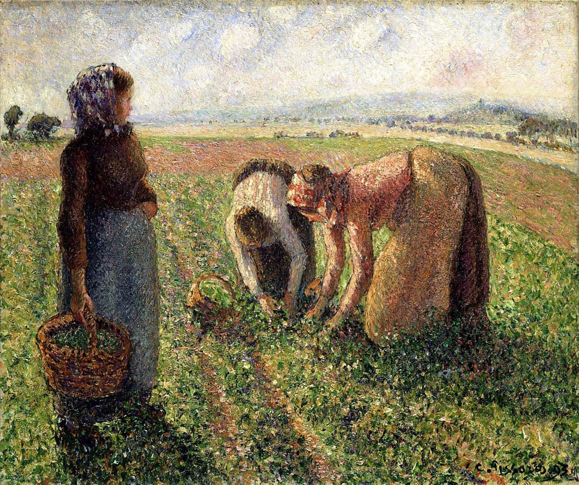 POSTERIIk Famous Modern Artwork Art Mural Pea Harvest Eragny by Camille Jacob Pissarro Oil Paintings Pictures for Home Decor 60x90cm