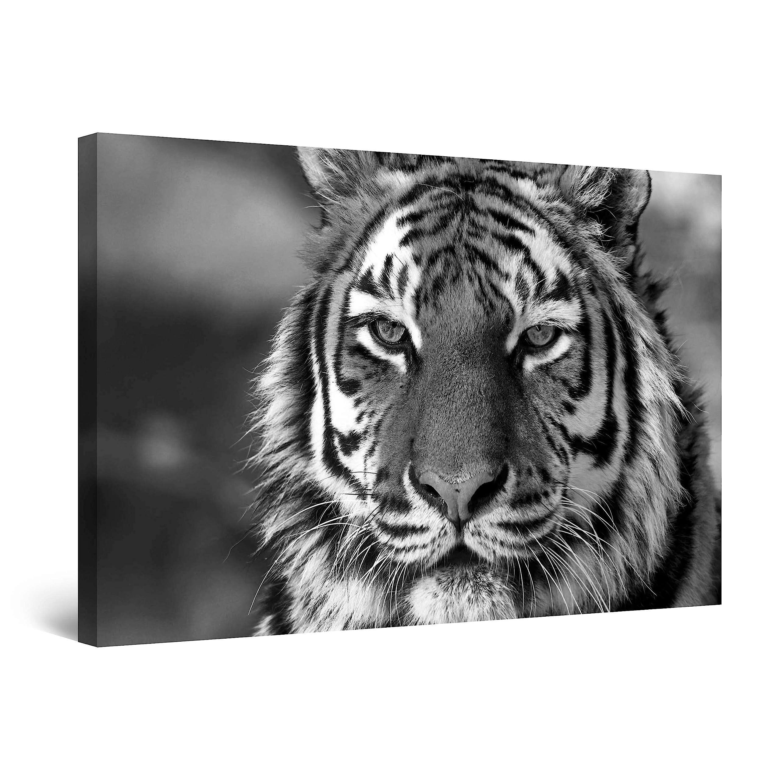 StartonightCanvas Wall Art Black and White Abstract Wise Tiger, Framed Artwork Picture Home Decor for Bedroom 24" x 36"