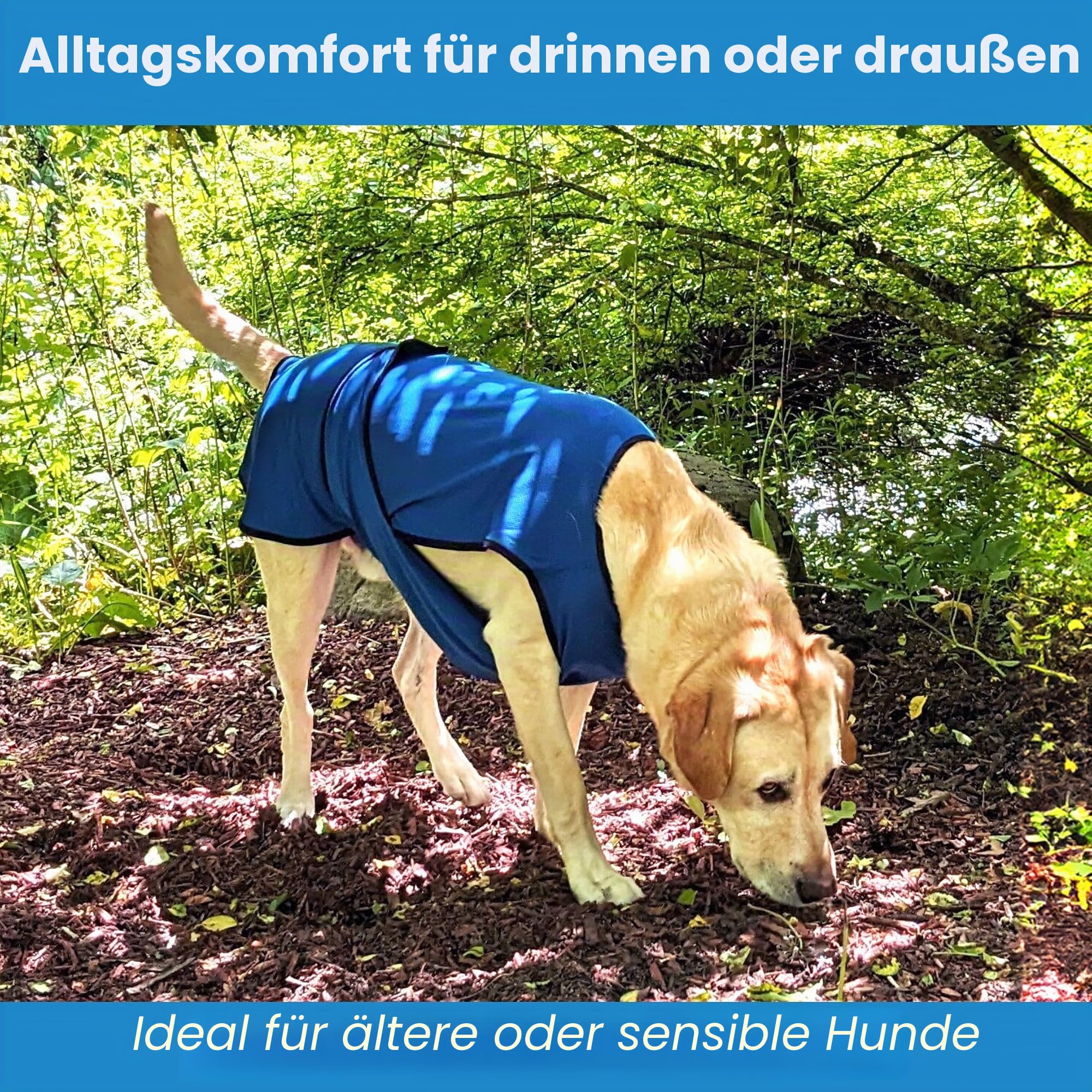 Kühlweste für Hunde, leichte Jacke mit verdunstender Kühl-Mikrofaser-Technologie, UV-Schutz-Shirt für Strand, Größe für kleine, mittelgroße und große Hunde (L, Dunkelblau)