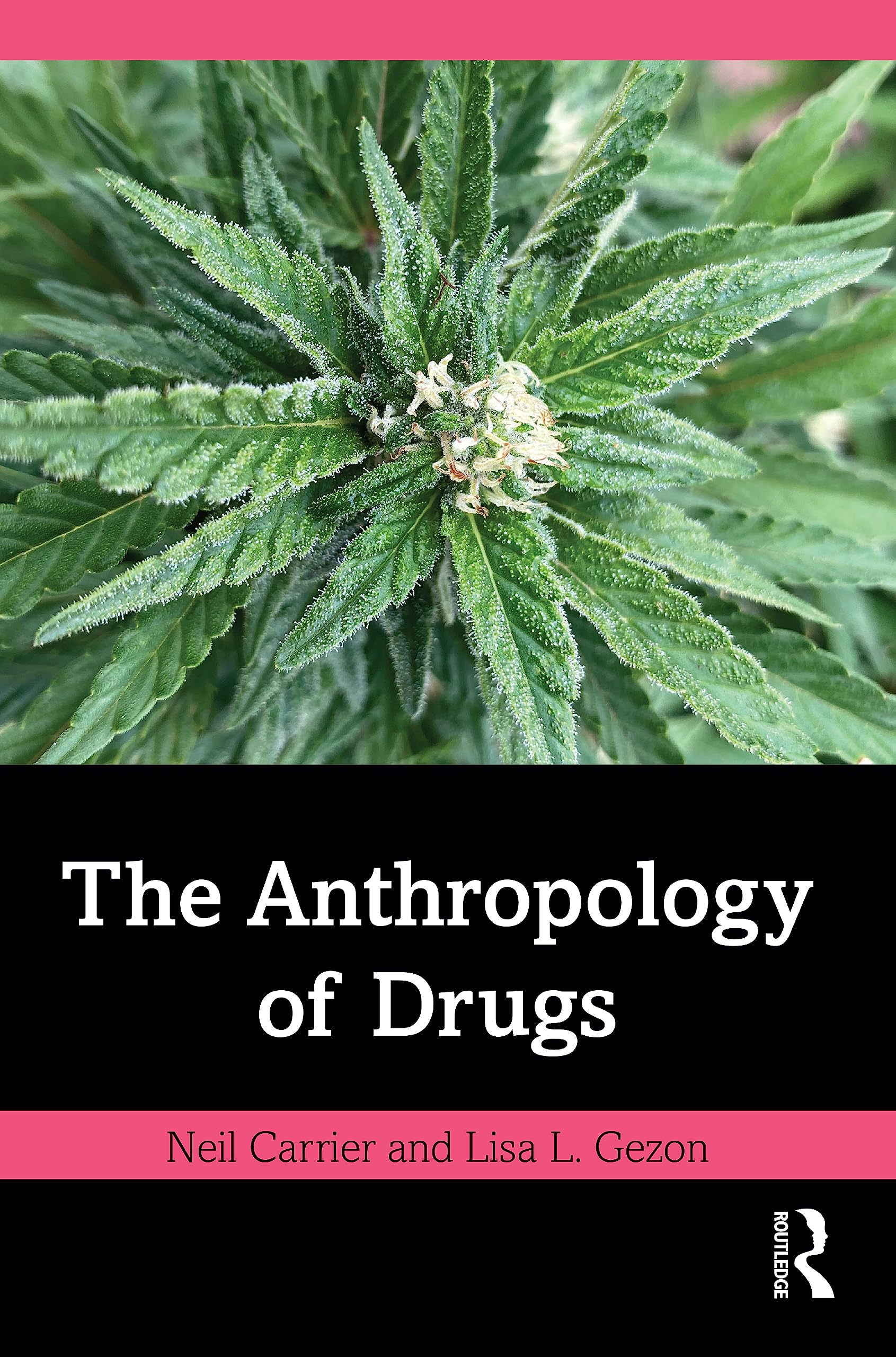 The Anthropology of Drugs