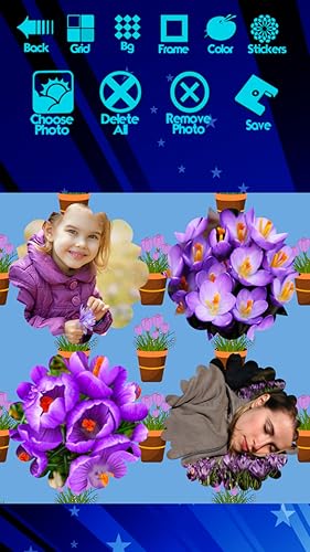 Crocus Photo Collage
