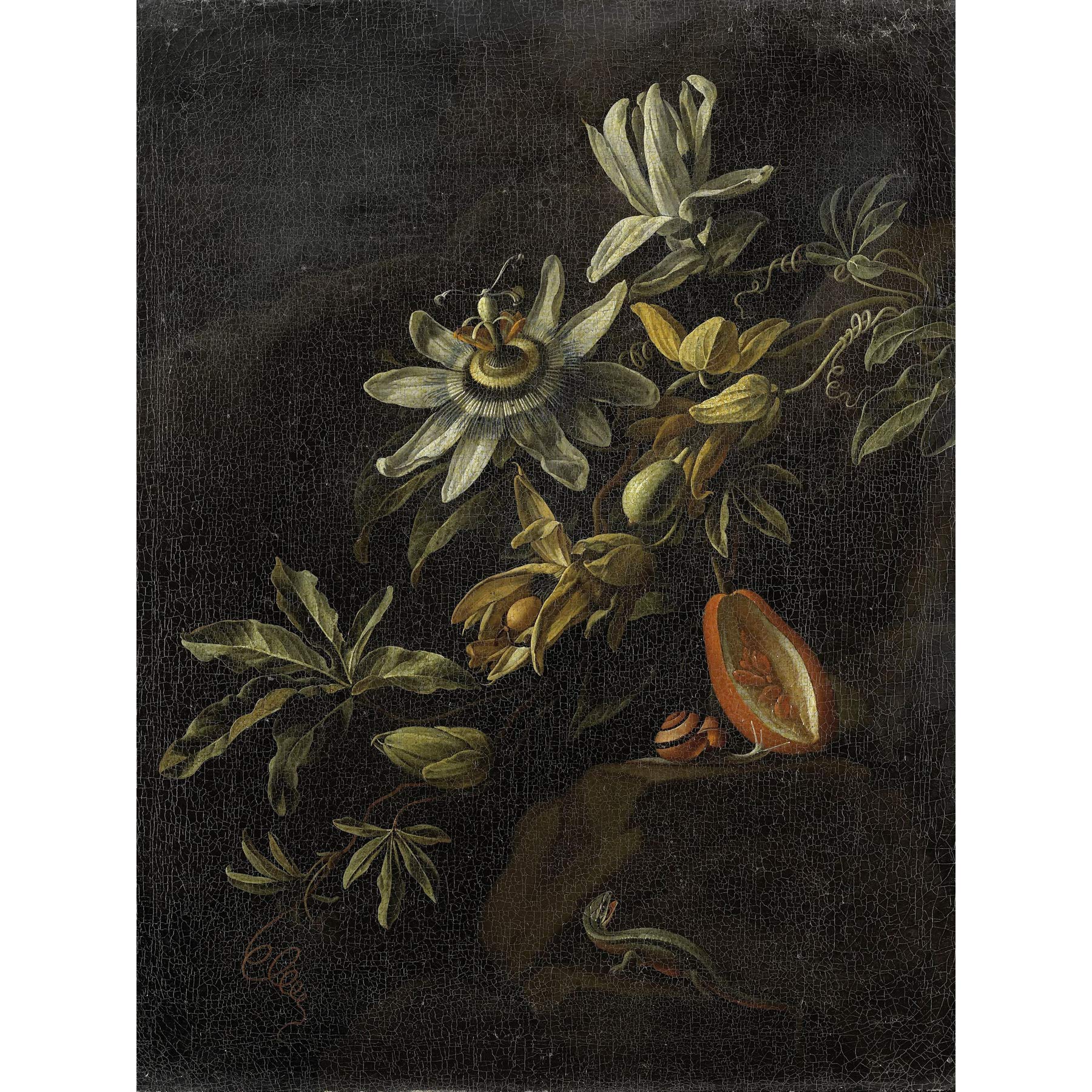 Artery8 Van Den Broeck Still Life Passion Flowers Large Wall Art Poster Print Thick Paper 18X24 Inch