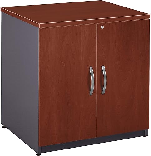BUSH BUSINESS FURNITURE Gabinete de almacenamiento de 30W Series C Collection en Hansen Cherry